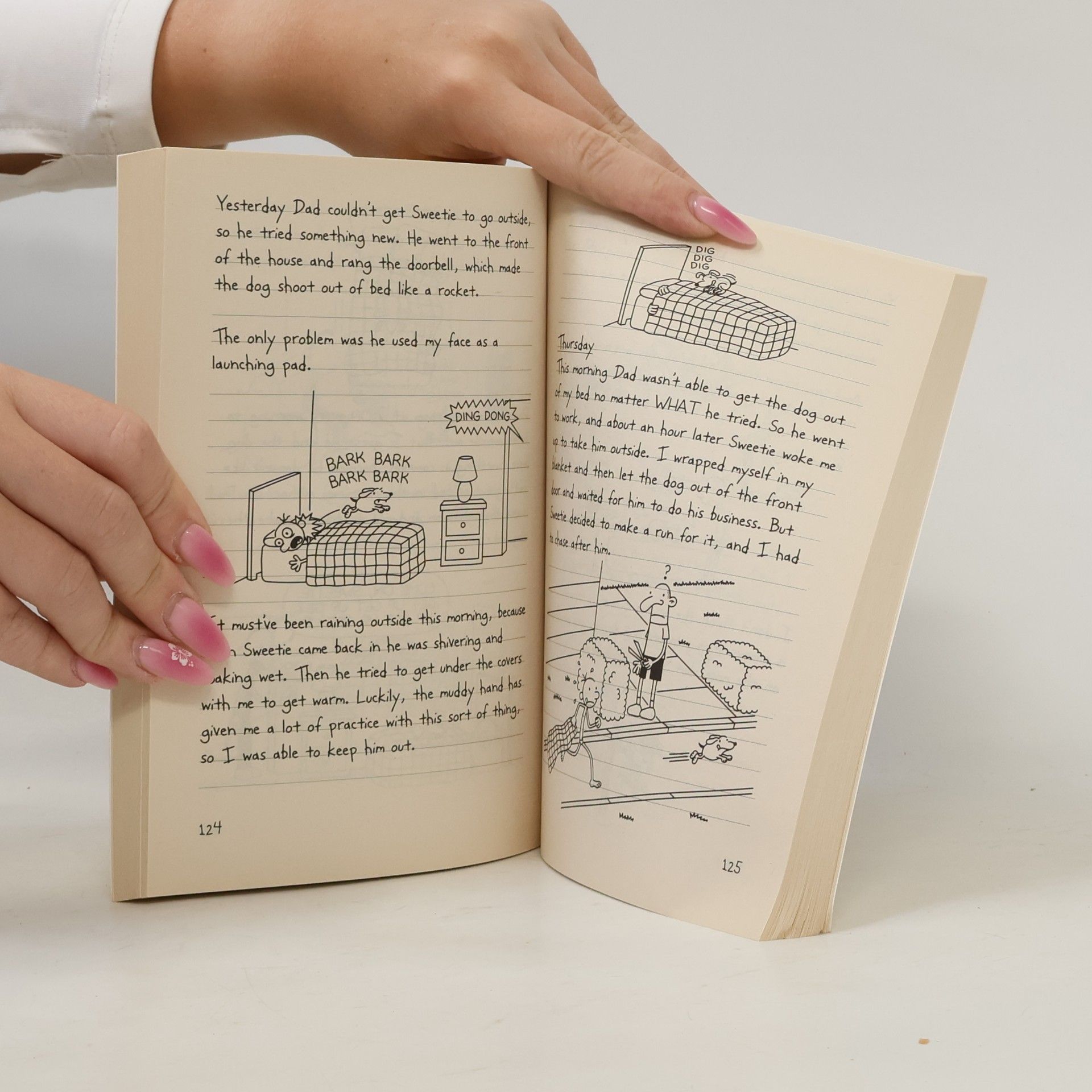 Jeff Kinney Diary of a wimpy kid : Dog days
