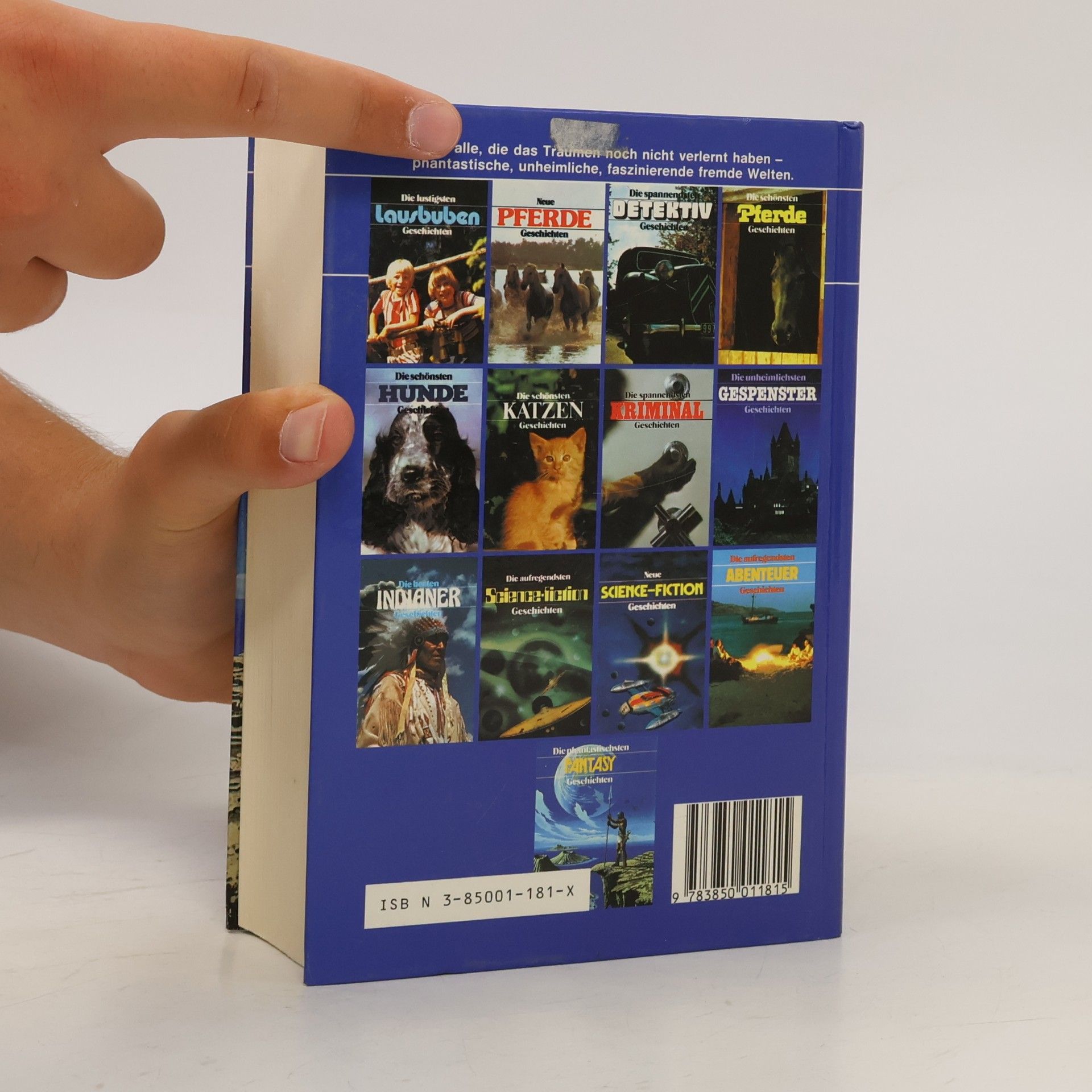 Autorenkollektiv Die phantastischsten Fantasy Geschichten