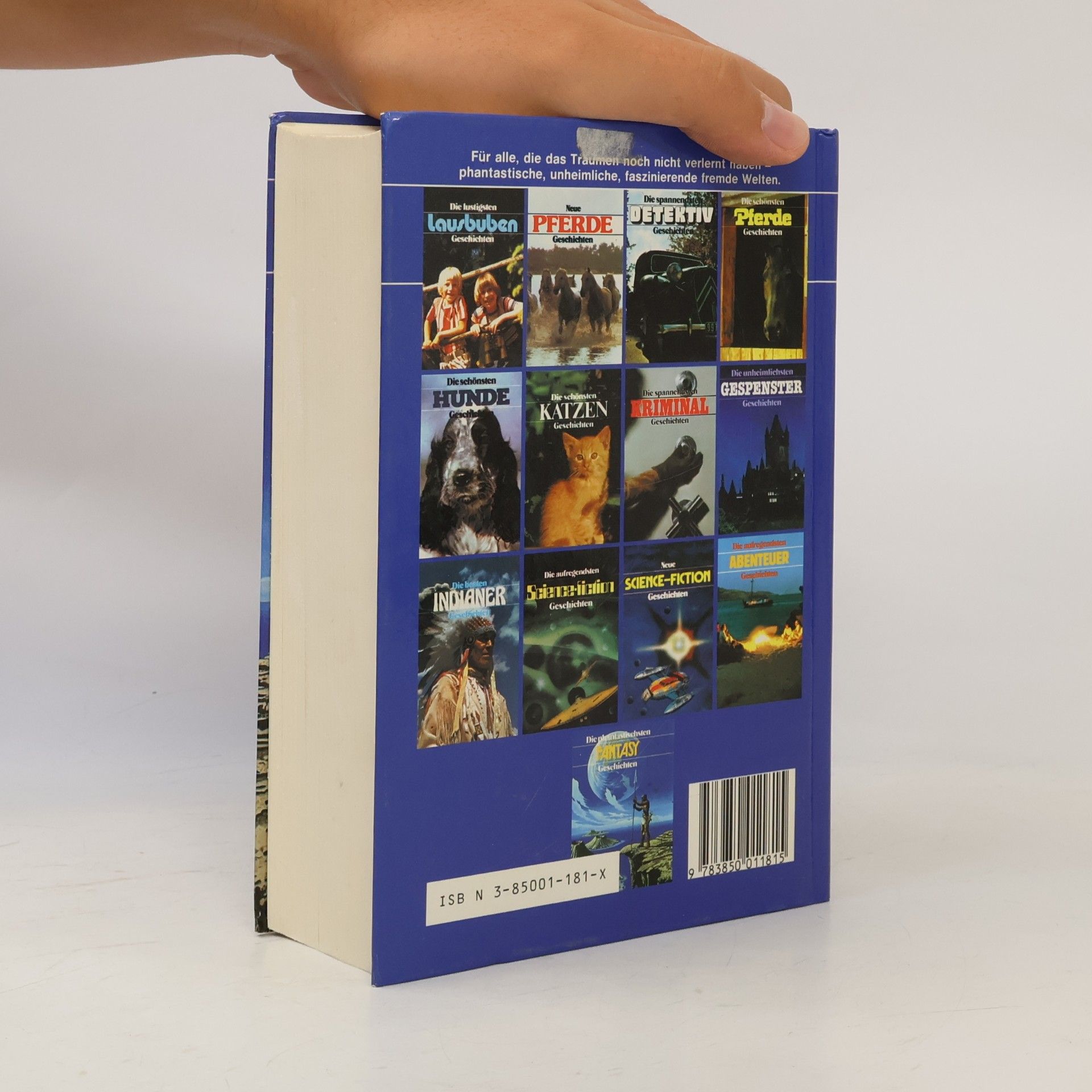 Autorenkollektiv Die phantastischsten Fantasy Geschichten