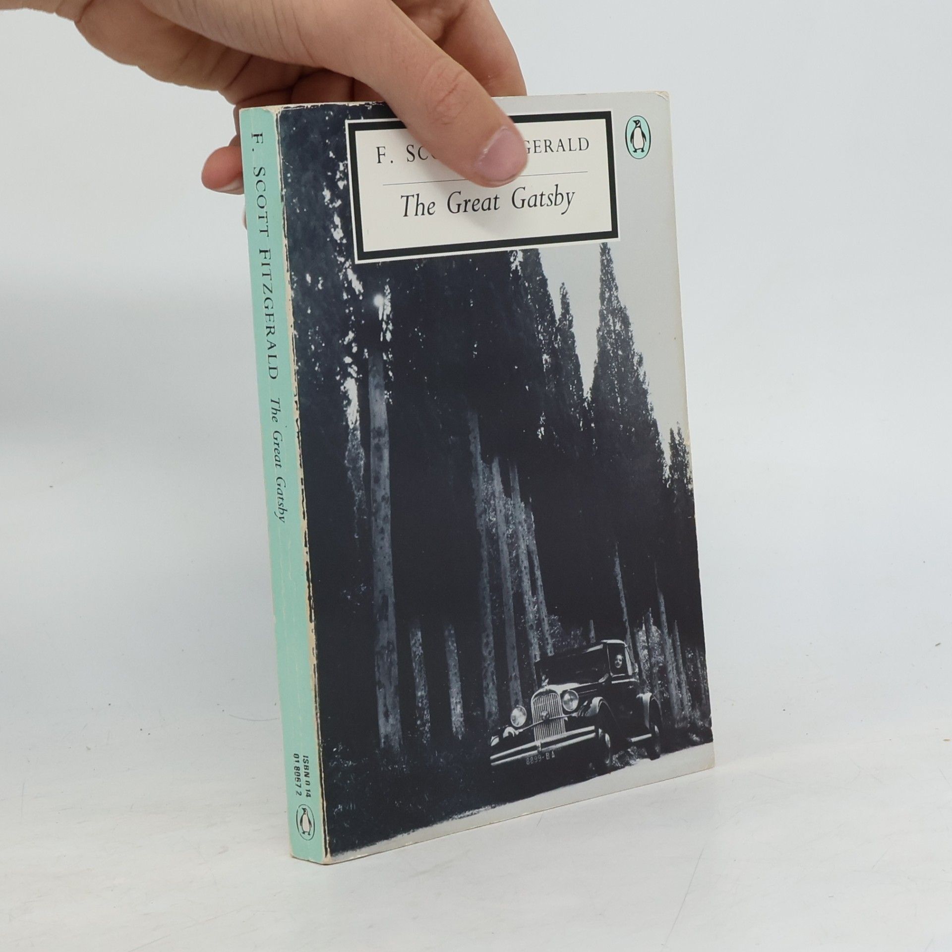 Francis Scott Fitzgerald The Grear Gatsby