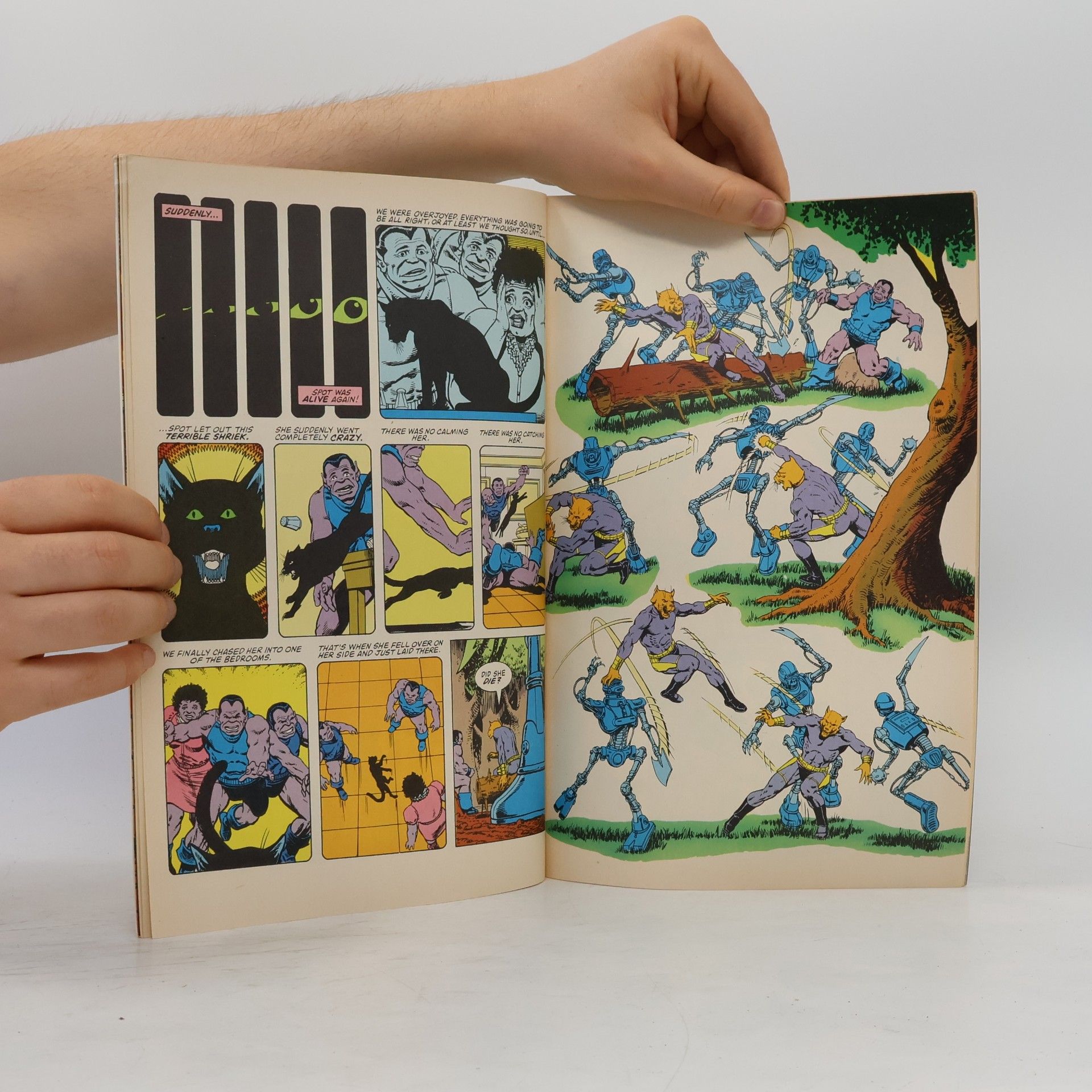 Autorenkollektiv Dreadstar 13