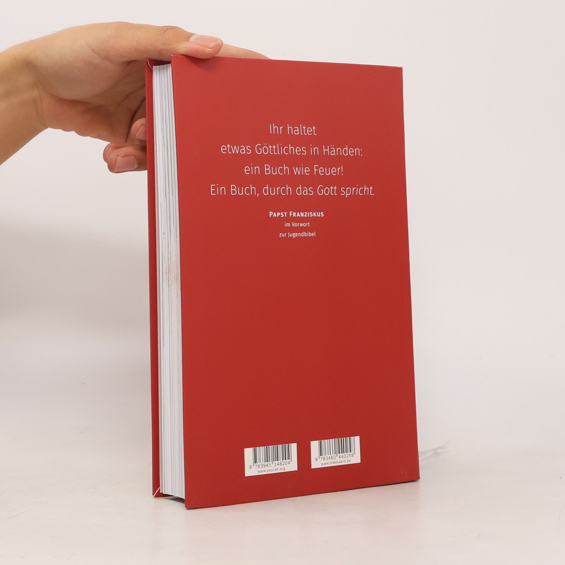 Papst Franziskus Y-Bibel - Youcat