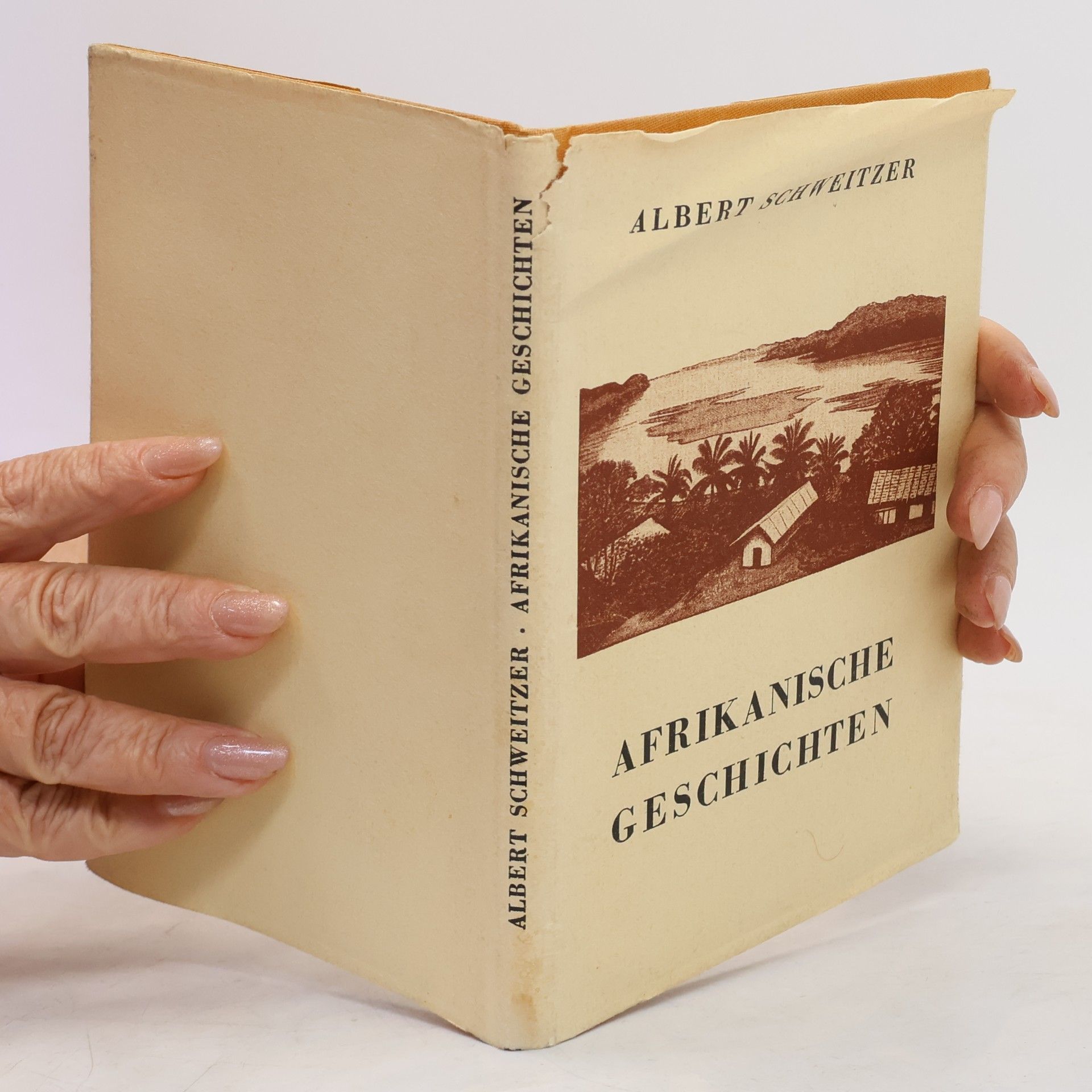 Albert Schweitzer Afrikanische Geschichten