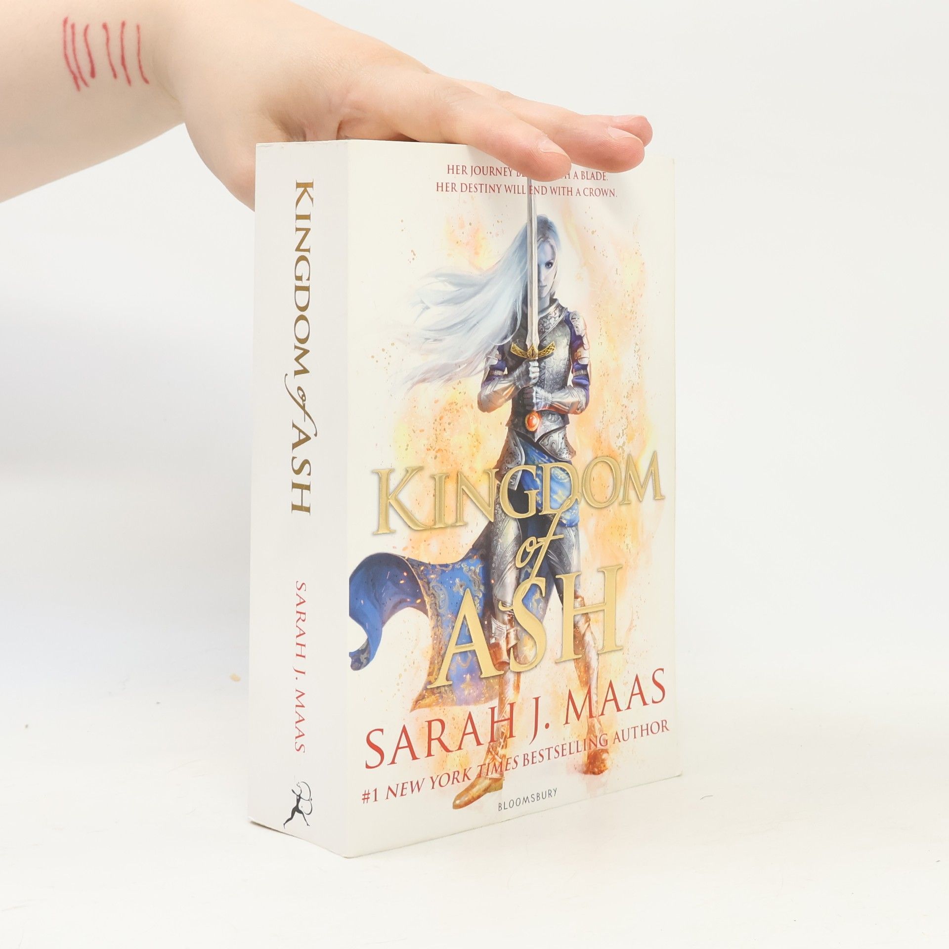 Sarah J. Maasová Kingdom of Ash