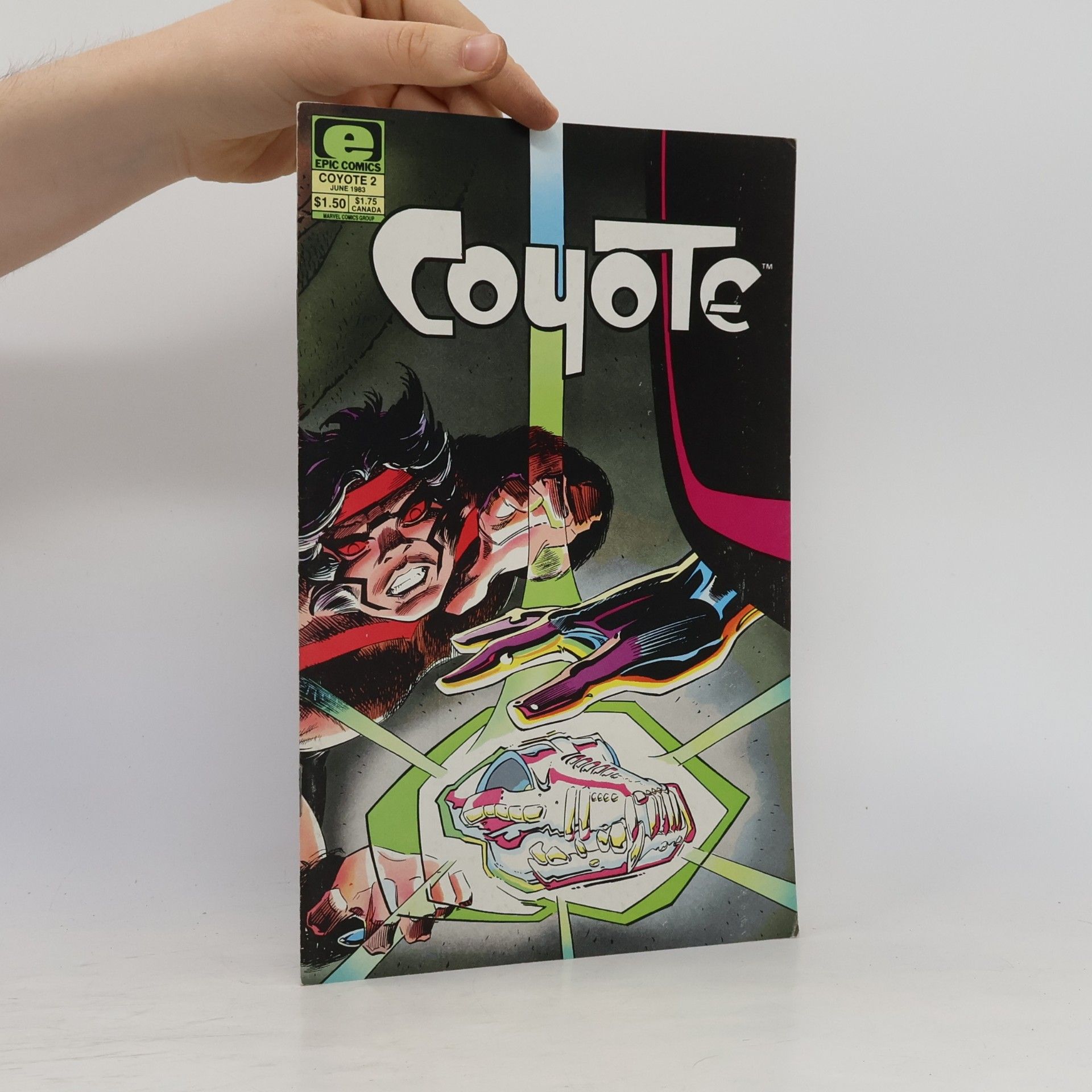 Kolektiv autorů Coyote 2