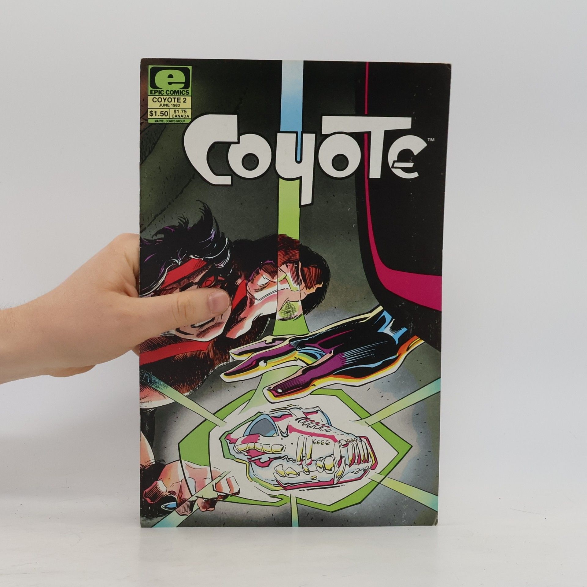 Kolektiv autorů Coyote 2