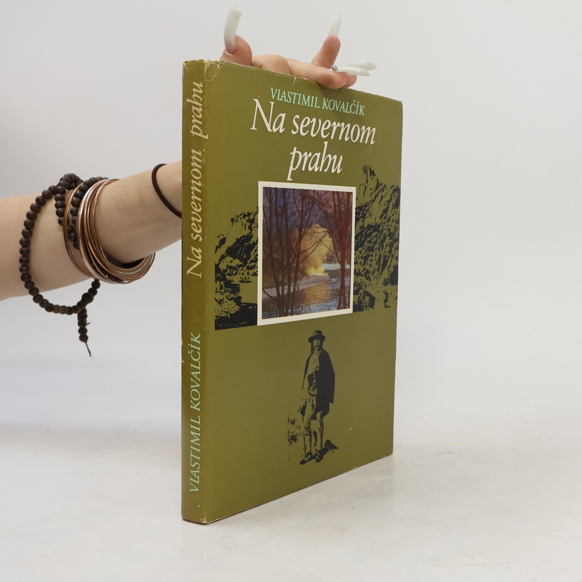 Vlastimil Kovalčík Na severnom prahu