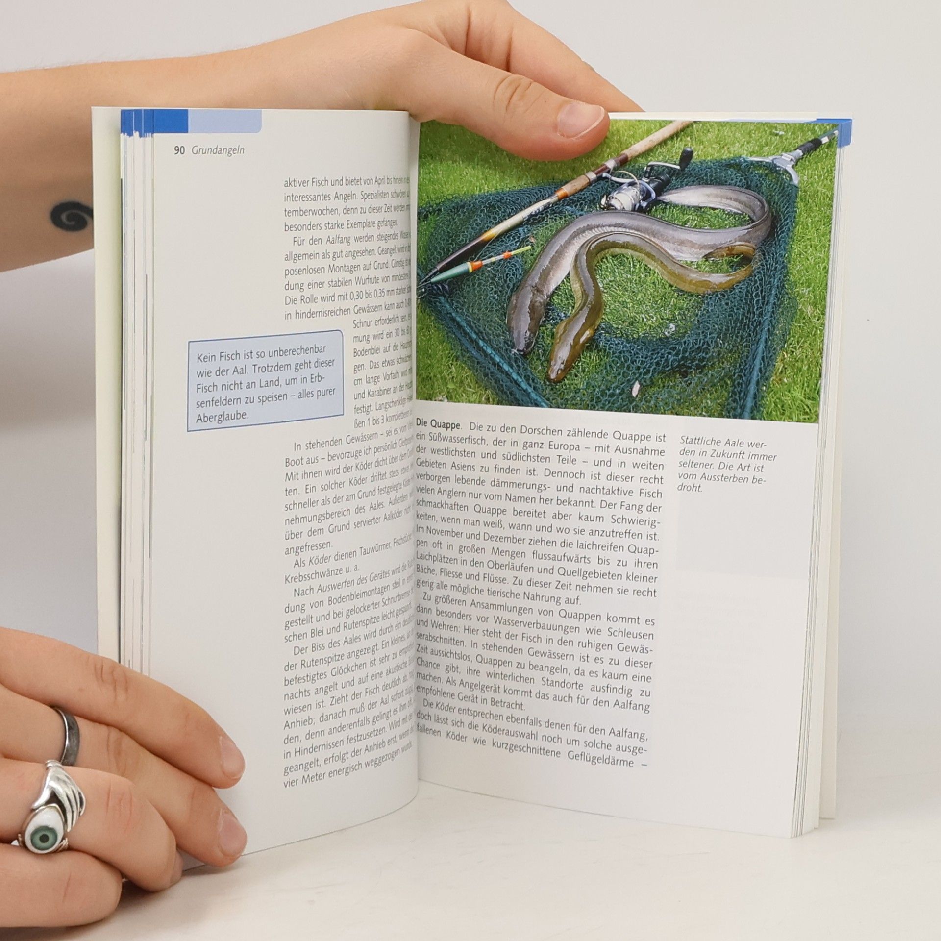 Armin Göllner Das Angelbuch für Anfänger