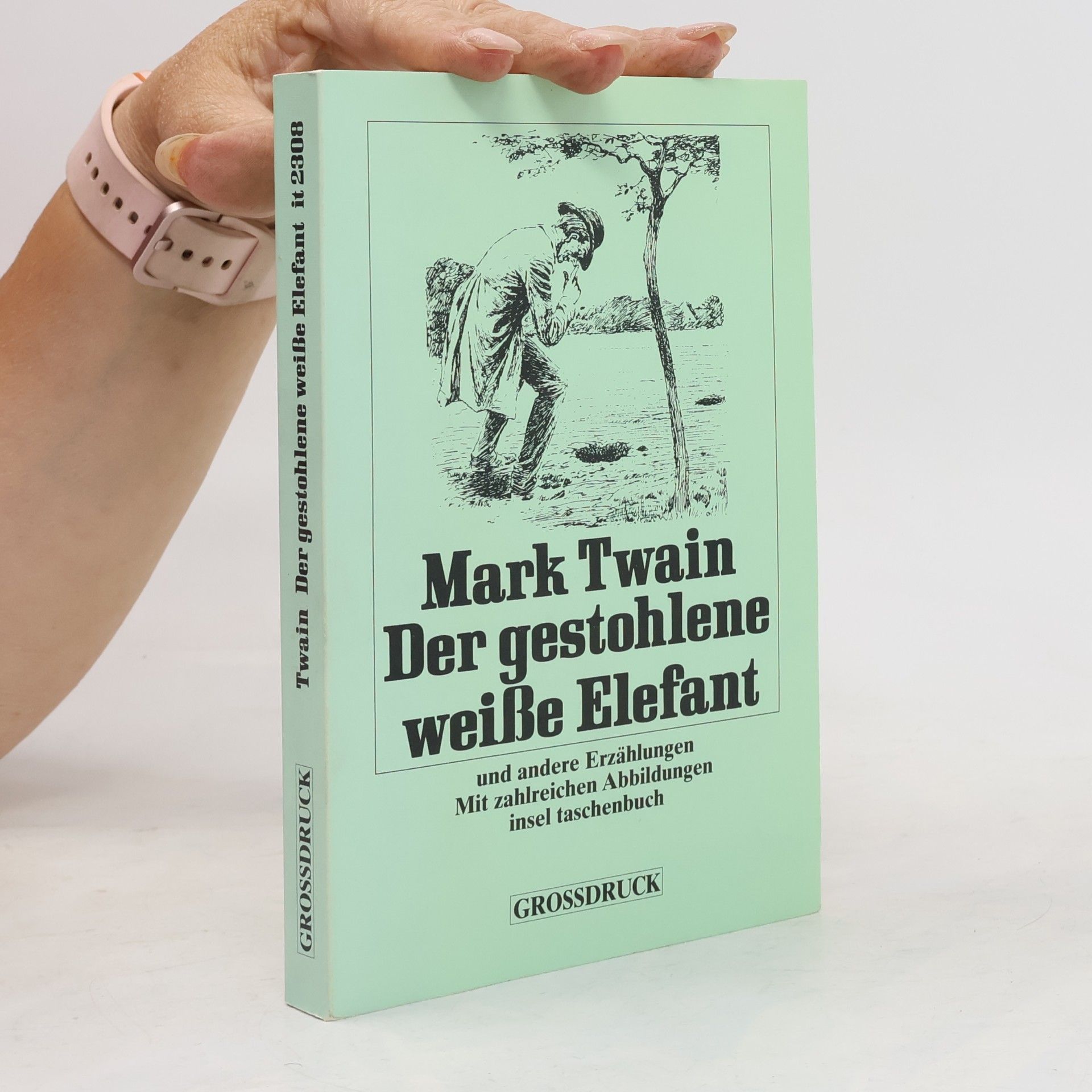 Mark Twain Der gestohlene weisse Elefant und andere Humoresken