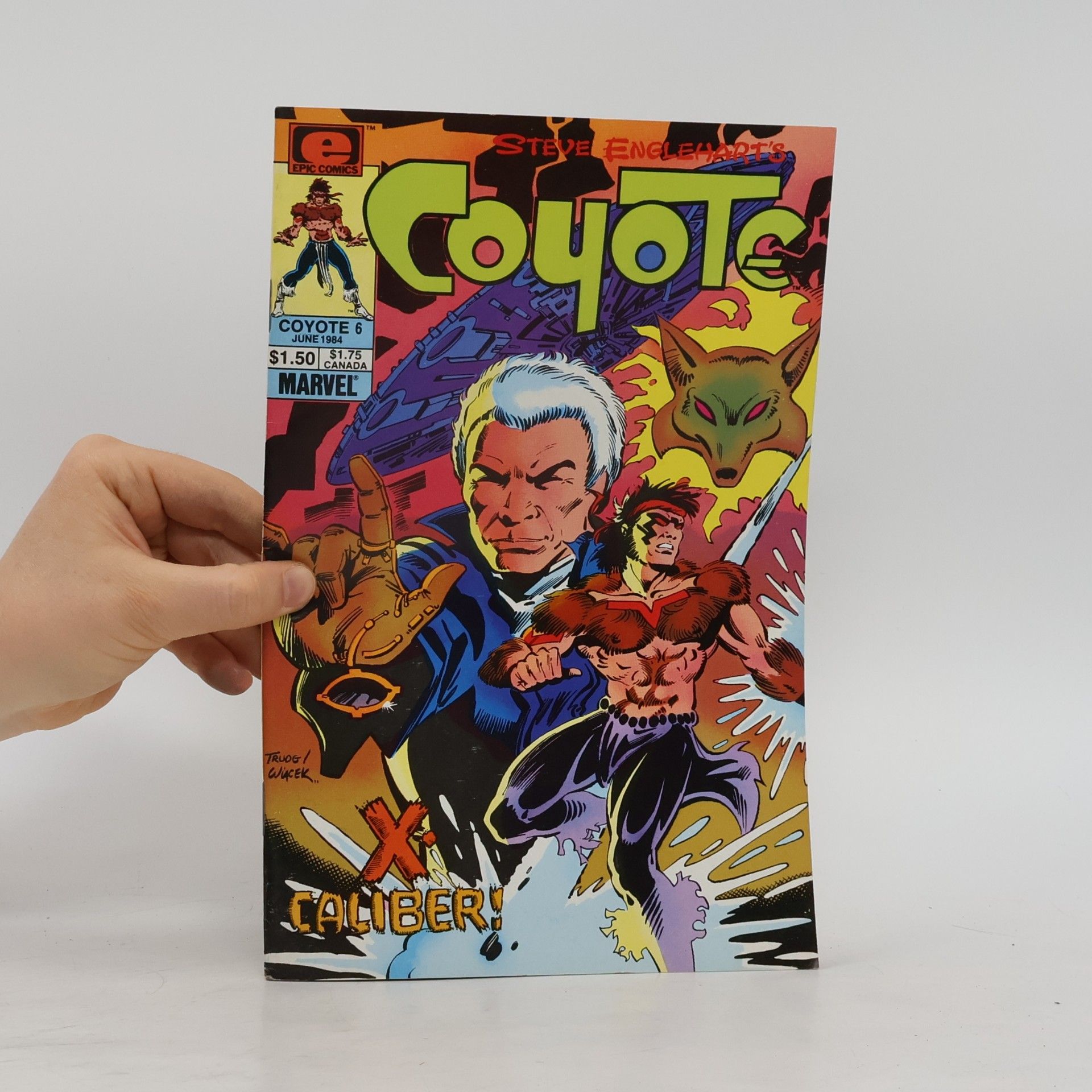 Steve Englehart Coyote 6
