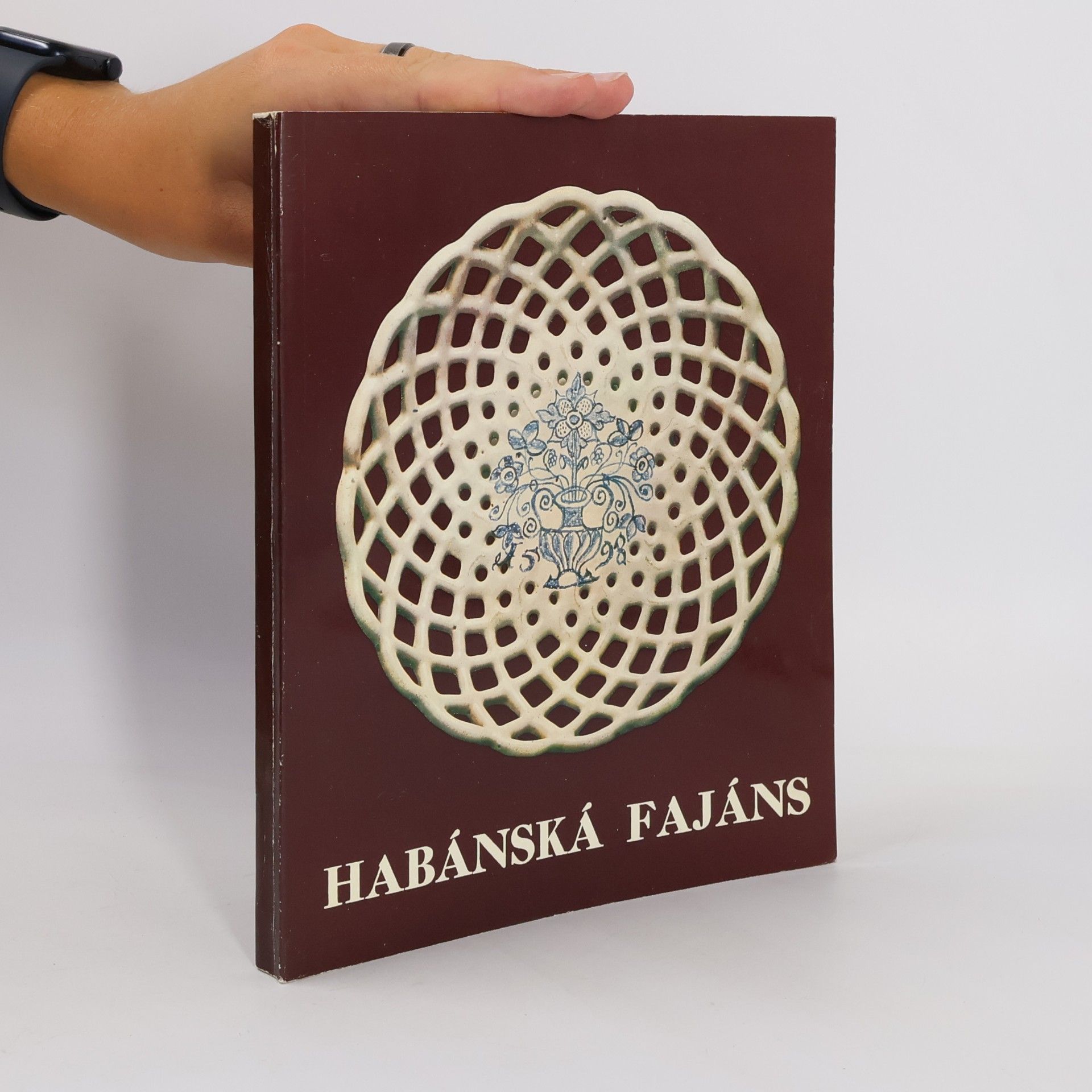 Kolektiv autorů Habánská fajáns