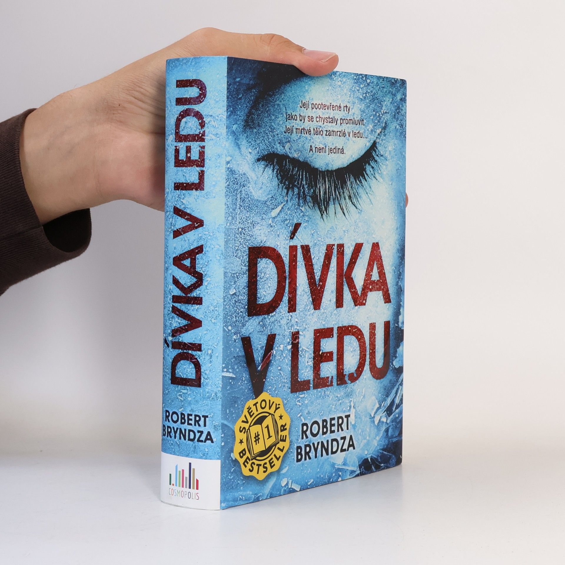 Robert Bryndza Dívka v ledu
