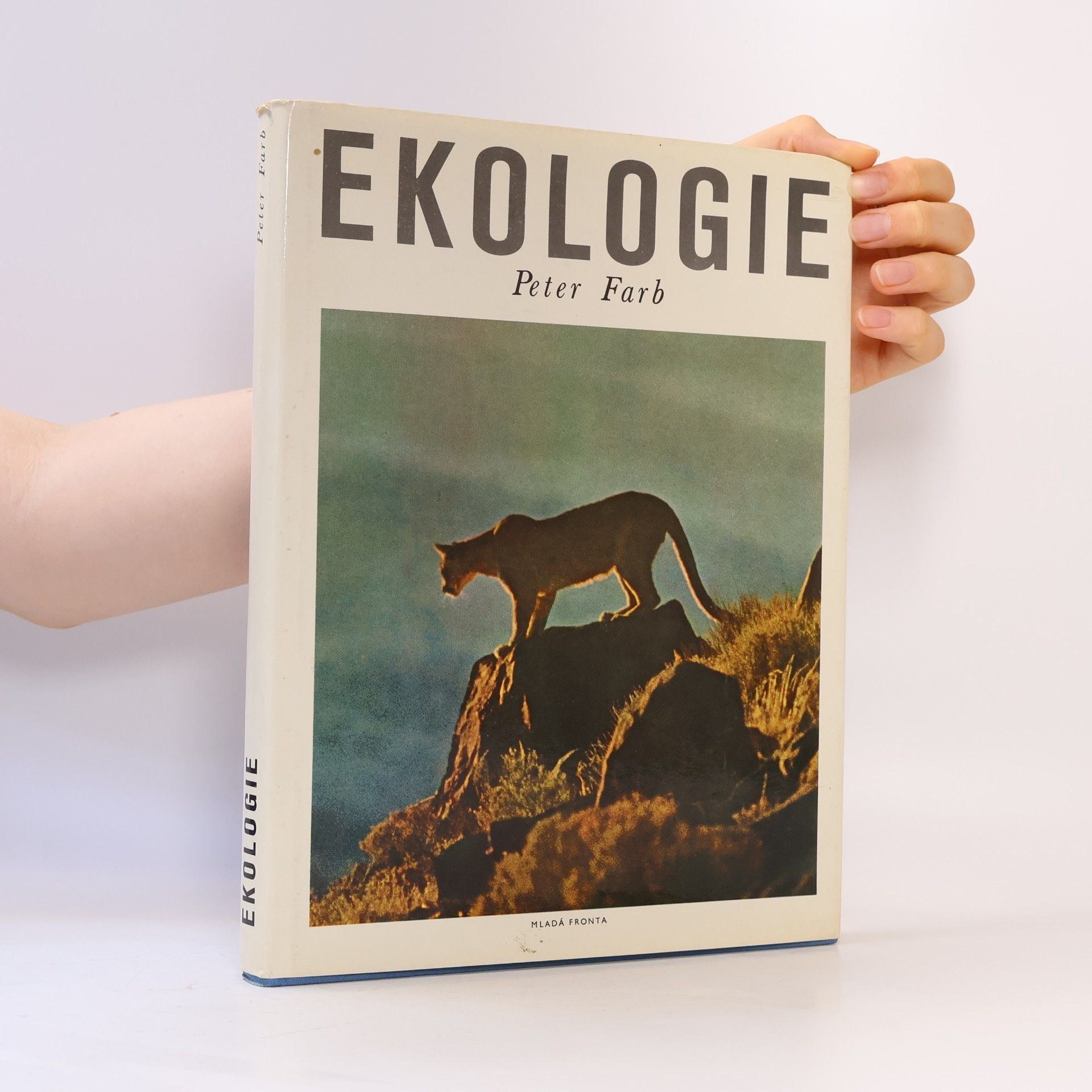 Kolektiv autorů Ekologie