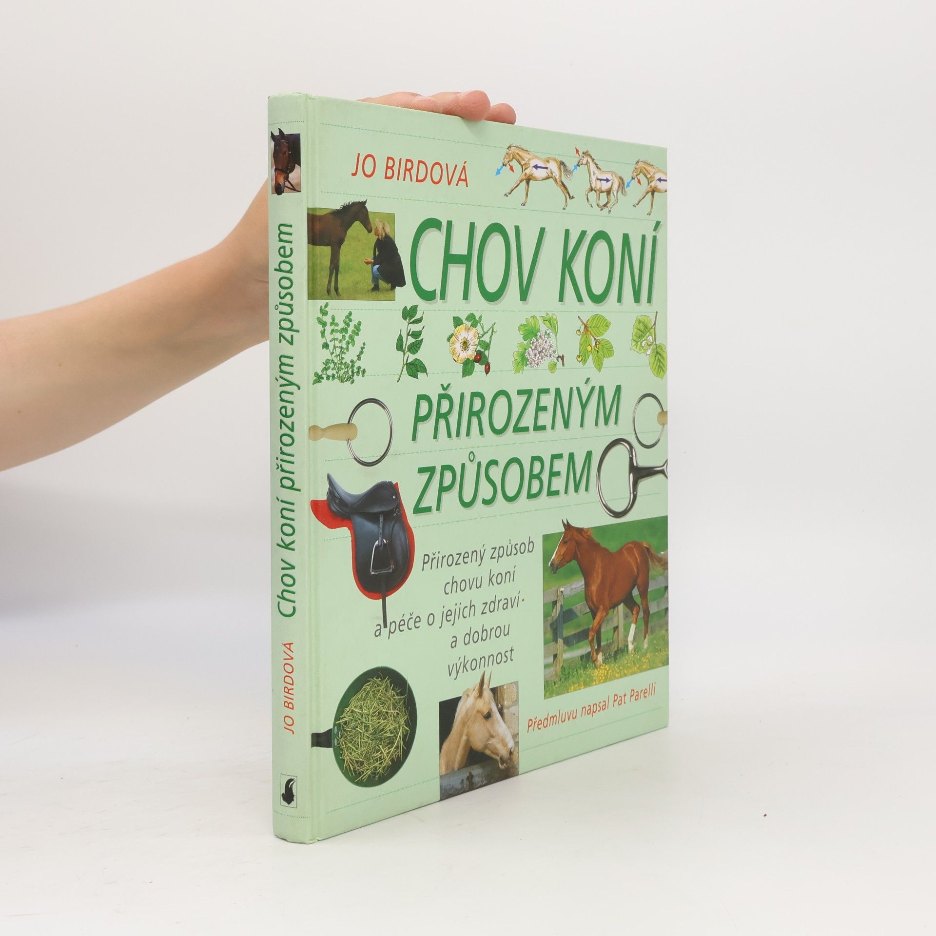 Jo Bird Chov koní přirozeným způsobem