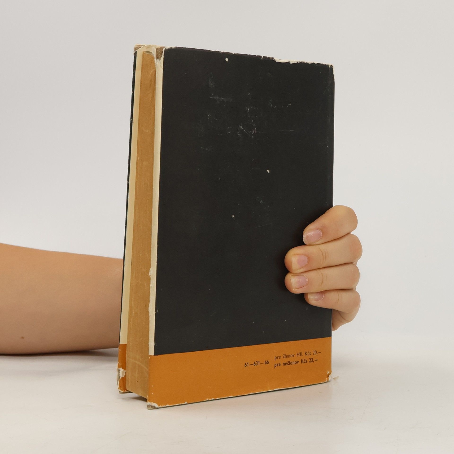 Sinclair Lewis Hlavná ulica
