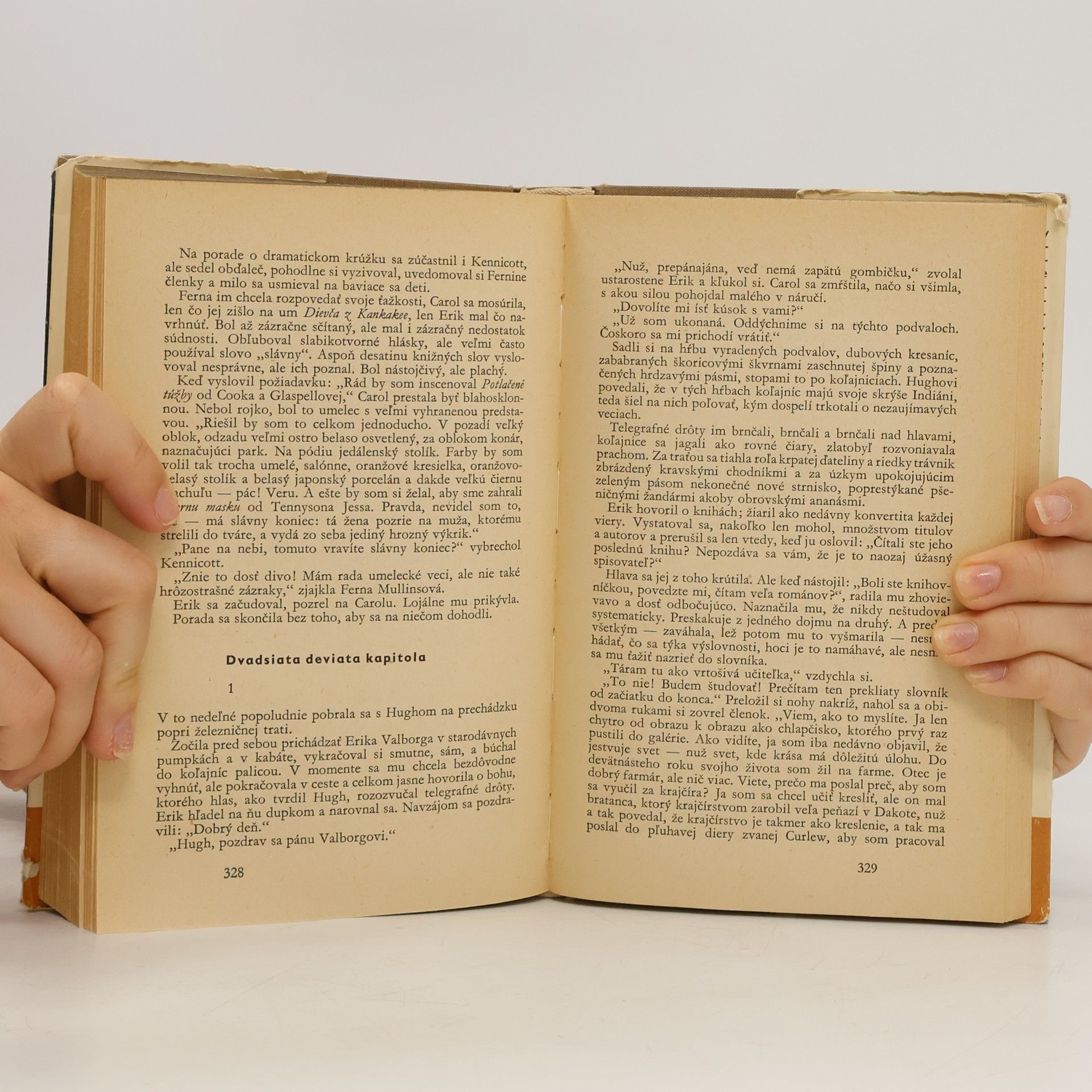 Sinclair Lewis Hlavná ulica