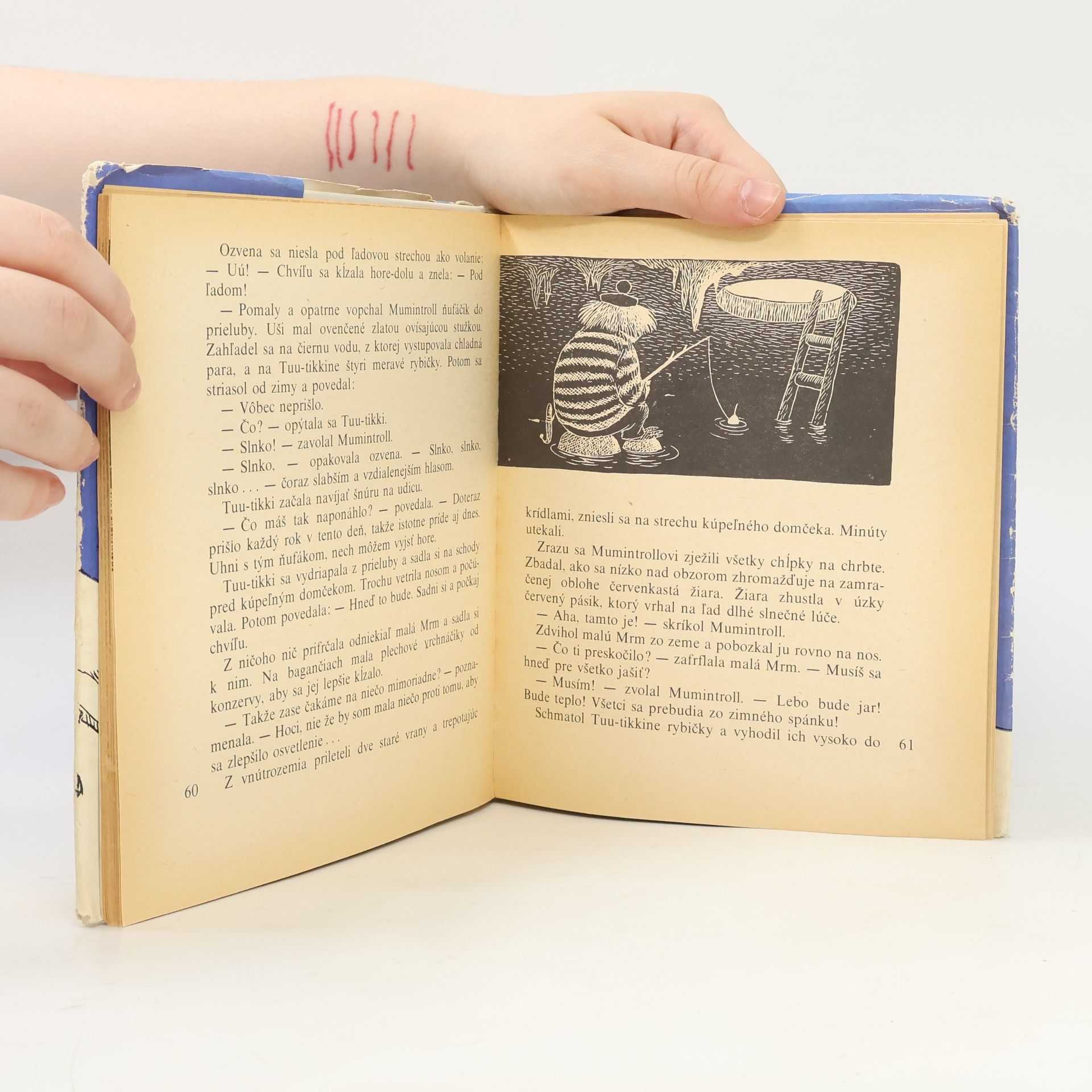 Tove Jansson Čarodejná zima