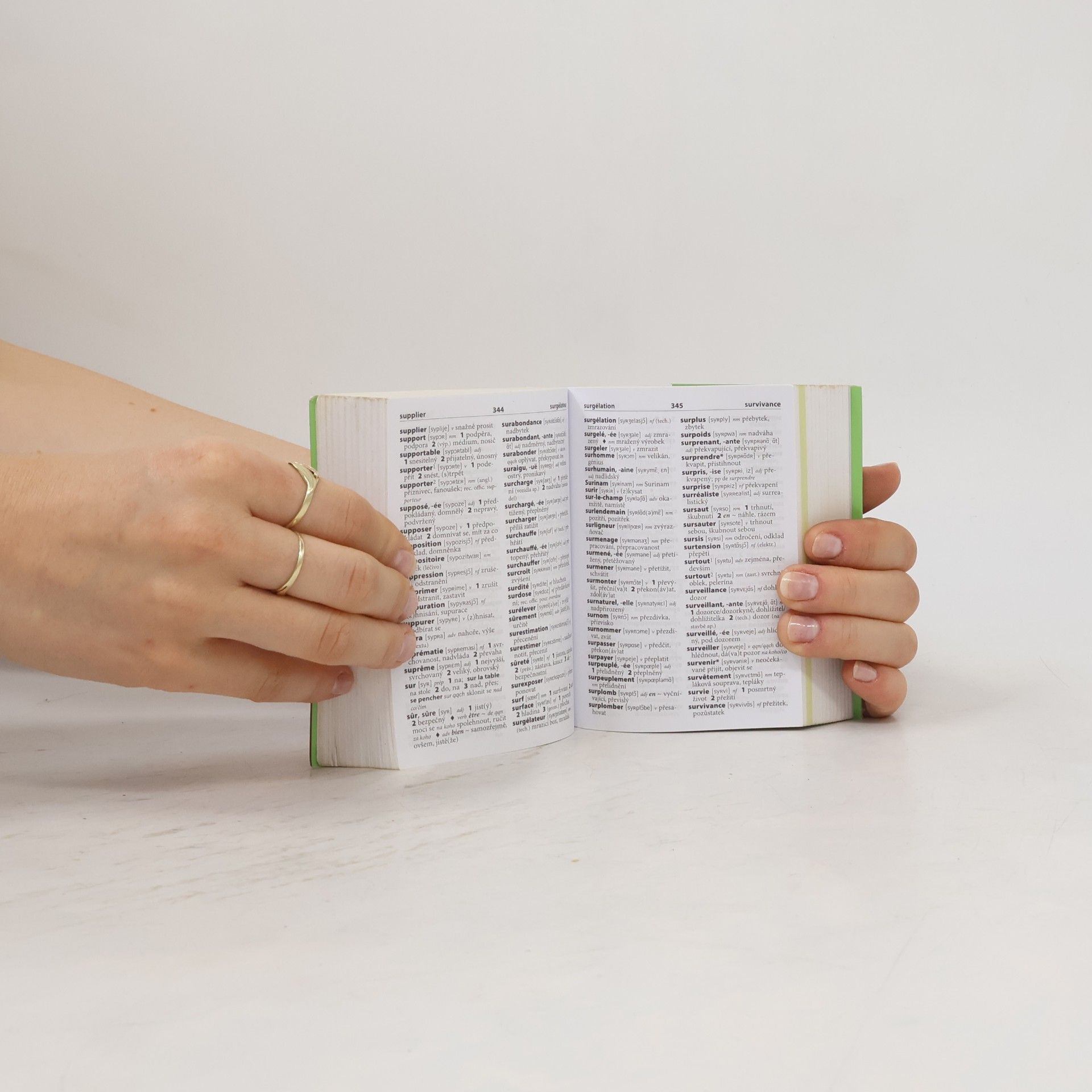 Various authors Francouzsko-český, česko-francouzský kapesní slovník