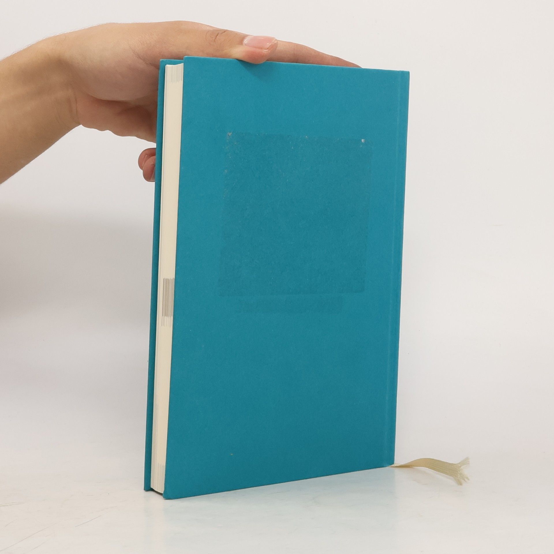 Dominik Spenst Das 6-Minuten-Tagebuch (lagune)