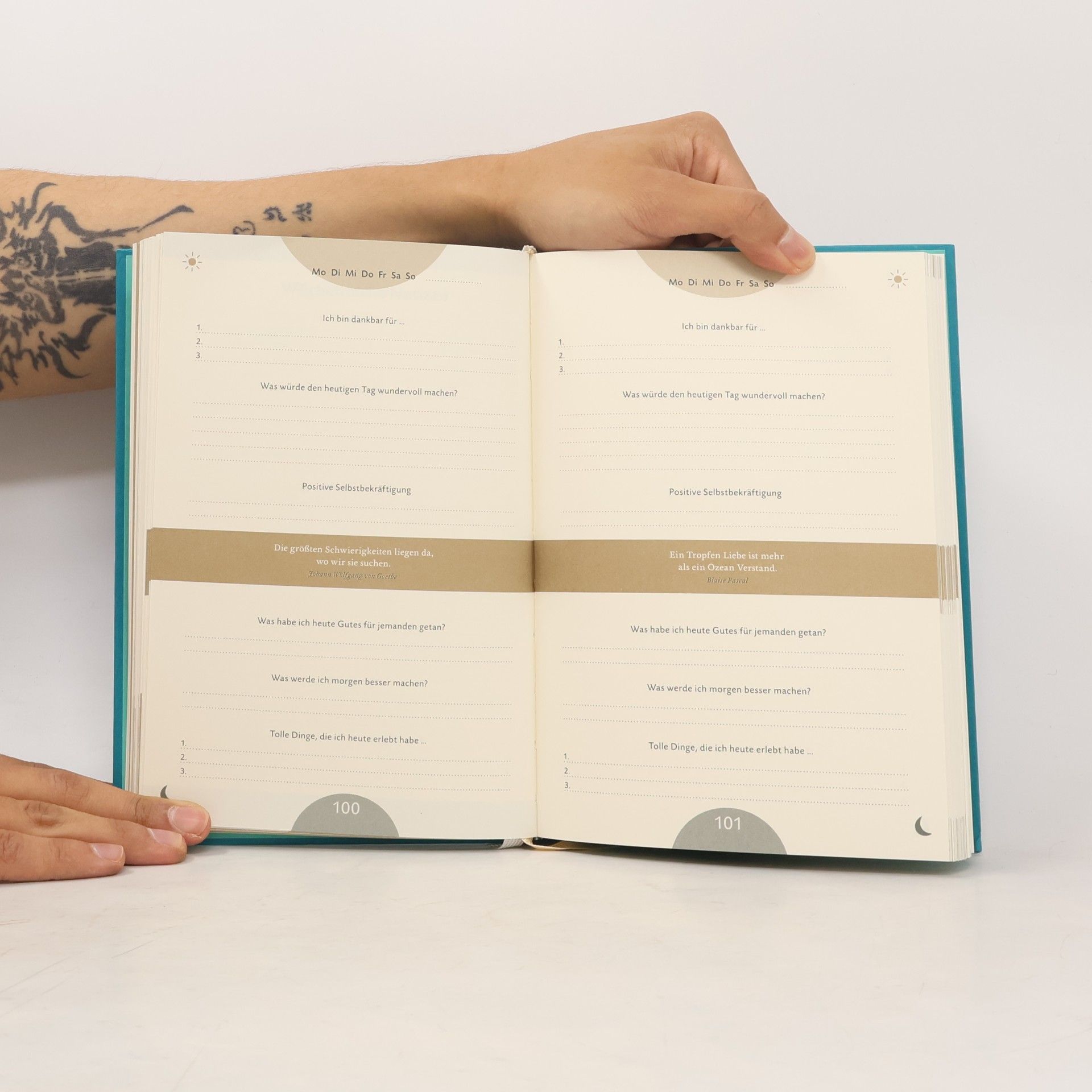 Dominik Spenst Das 6-Minuten-Tagebuch (lagune)