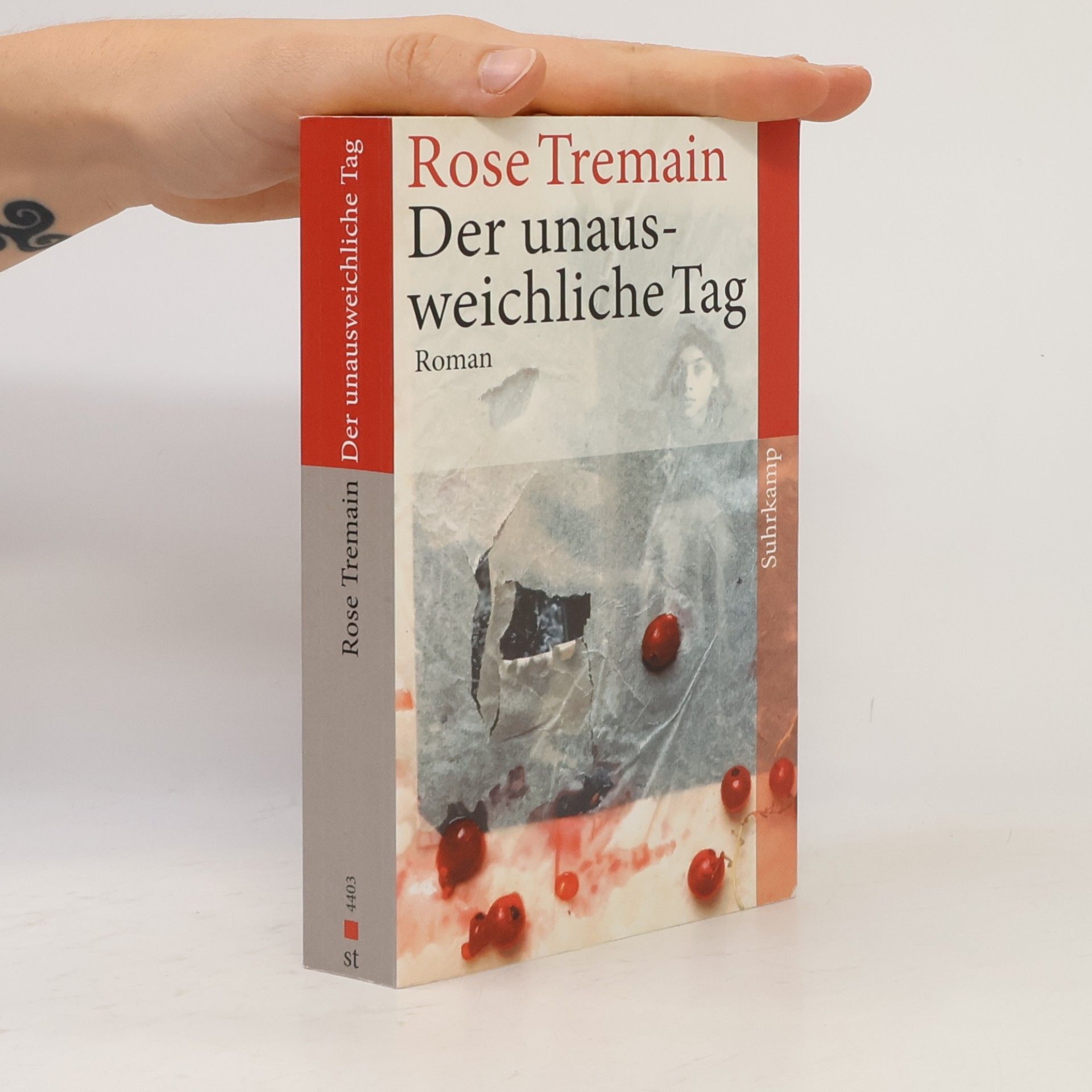 Rose Tremain Der unausweichliche Tag