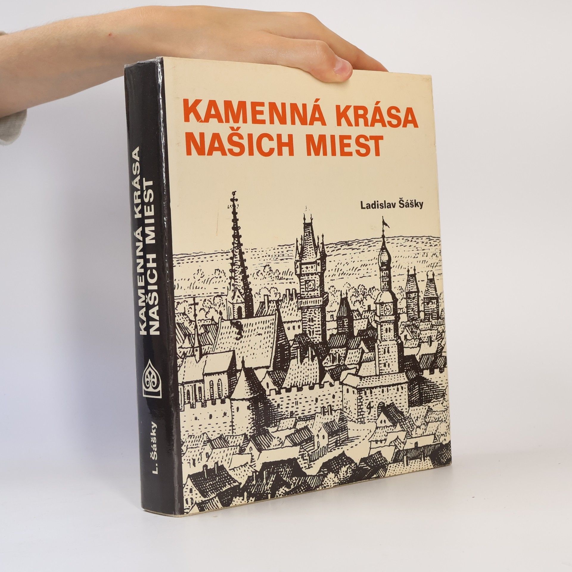 Ladislav Šášky Kamenná krása našich miest