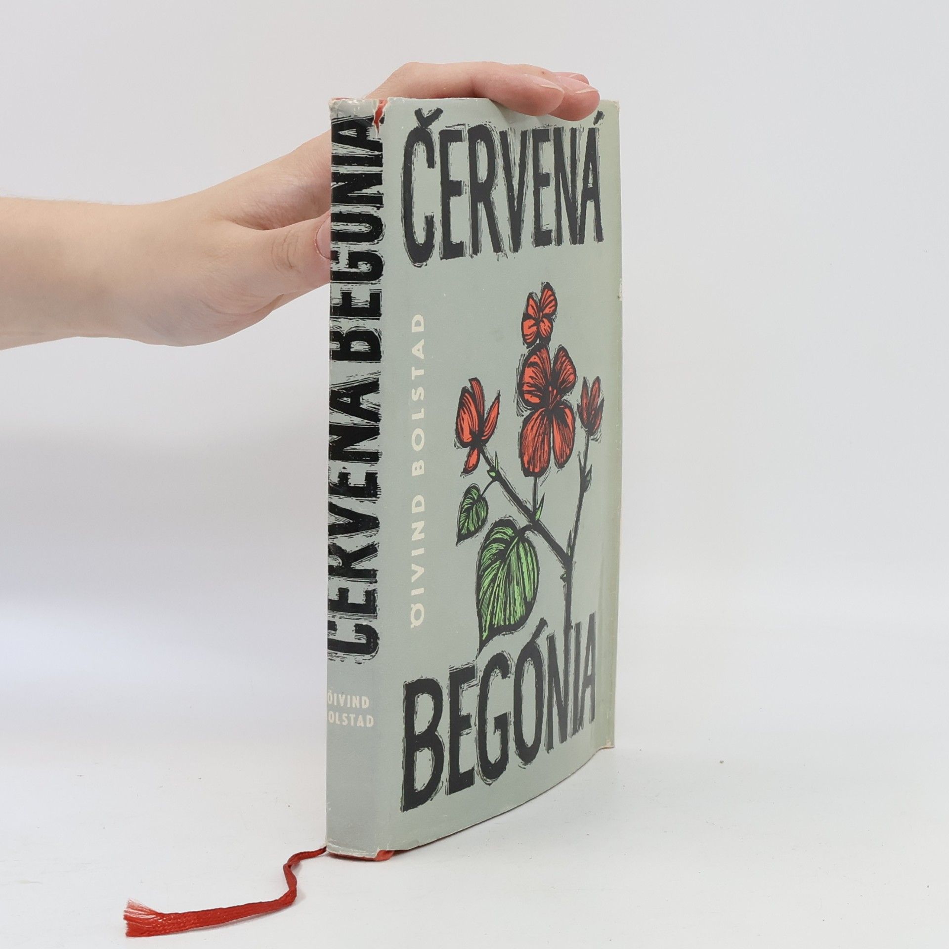 Oivind Bolstad Červená Begónia