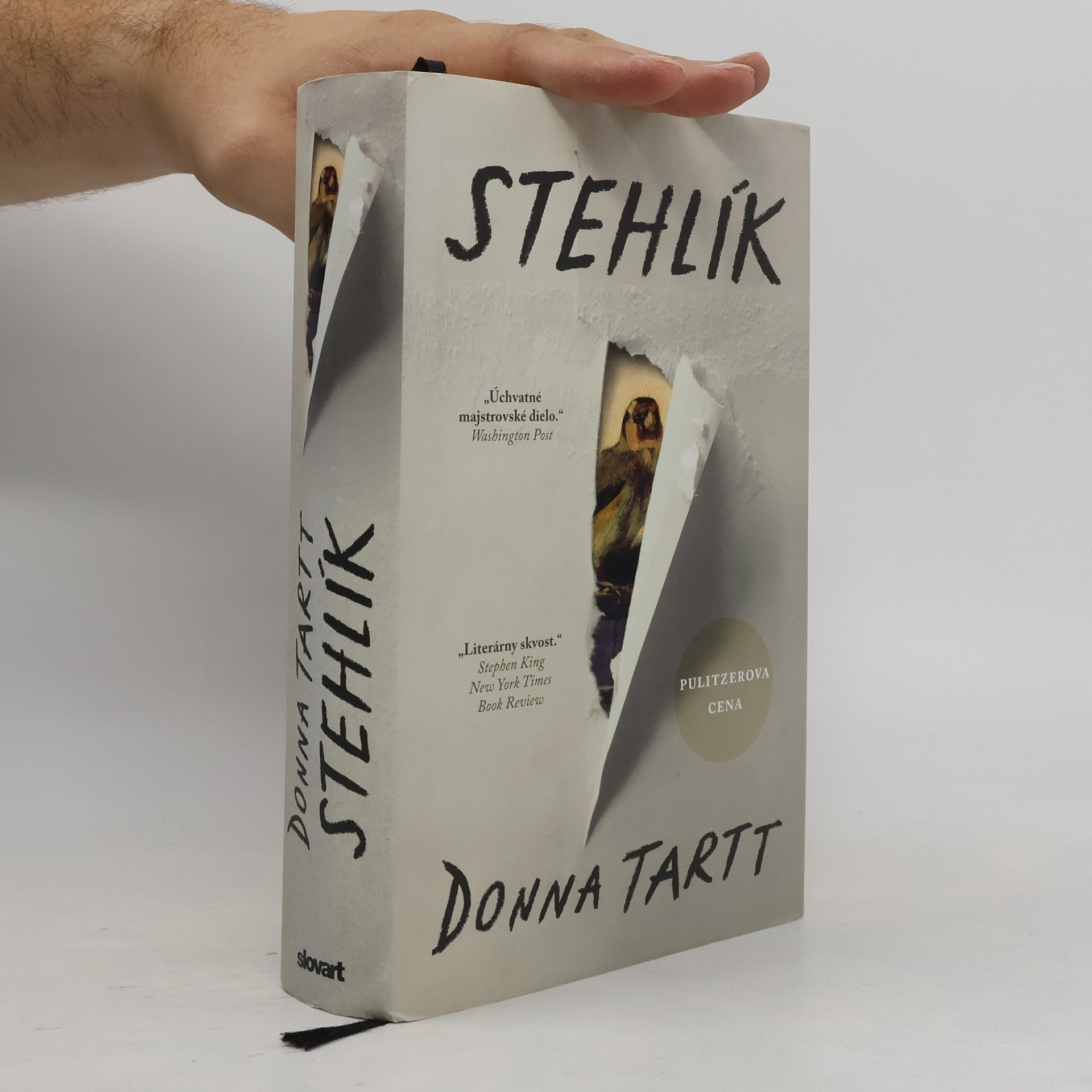 Donna Tartt Stehlík