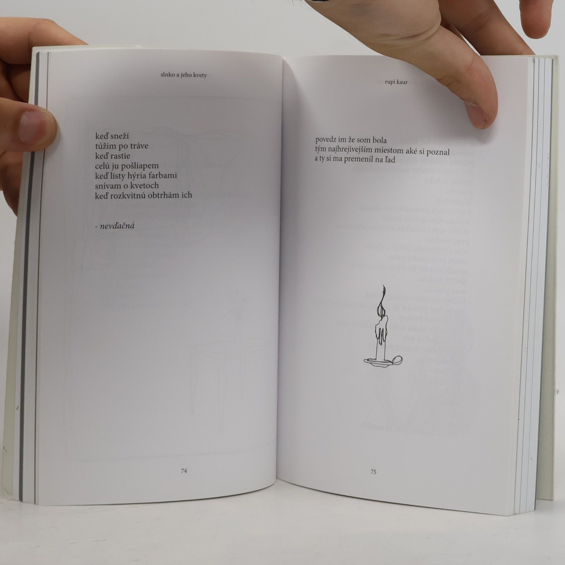 Rupi Kaur Slnko a jeho kvety