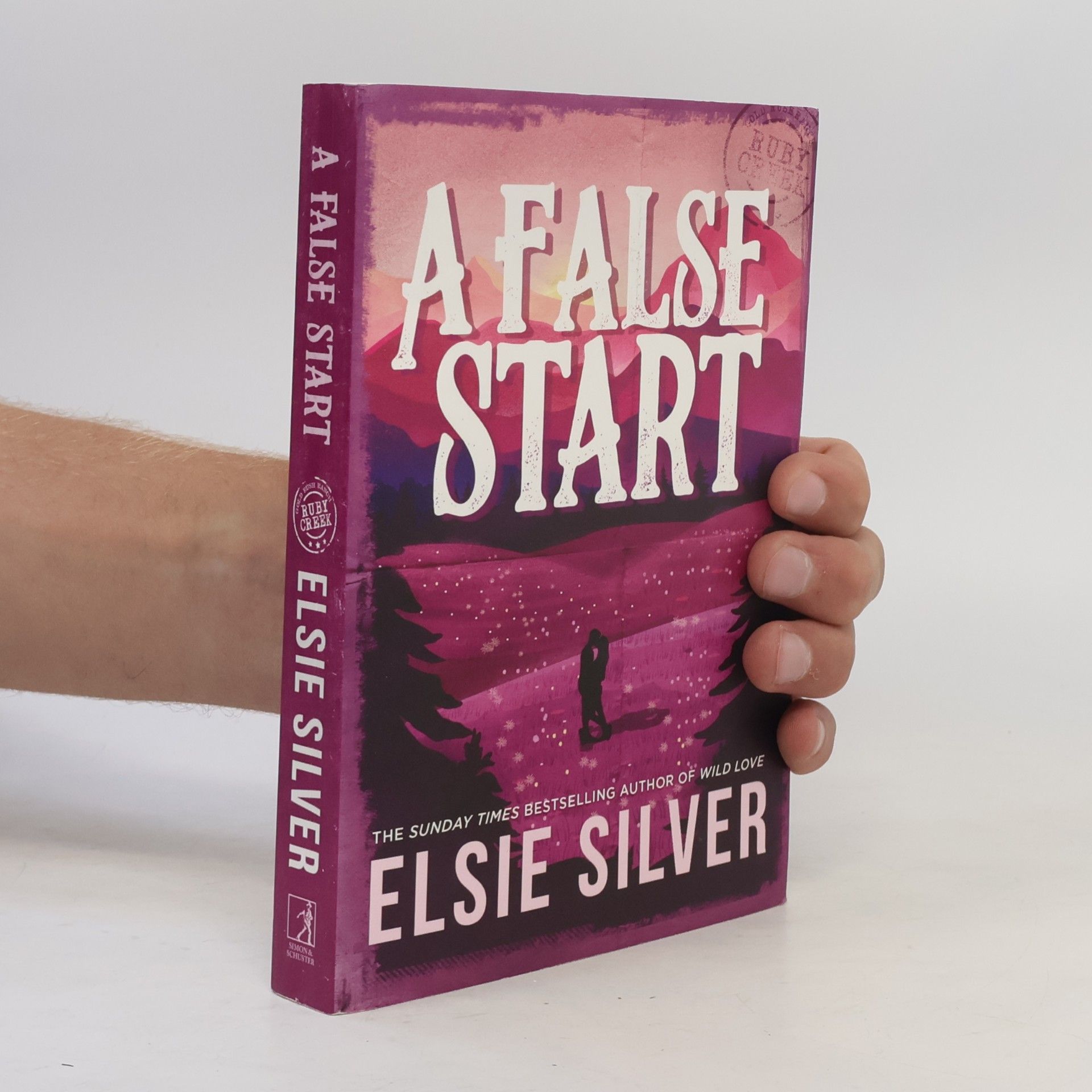 Elsie Silver A False Start