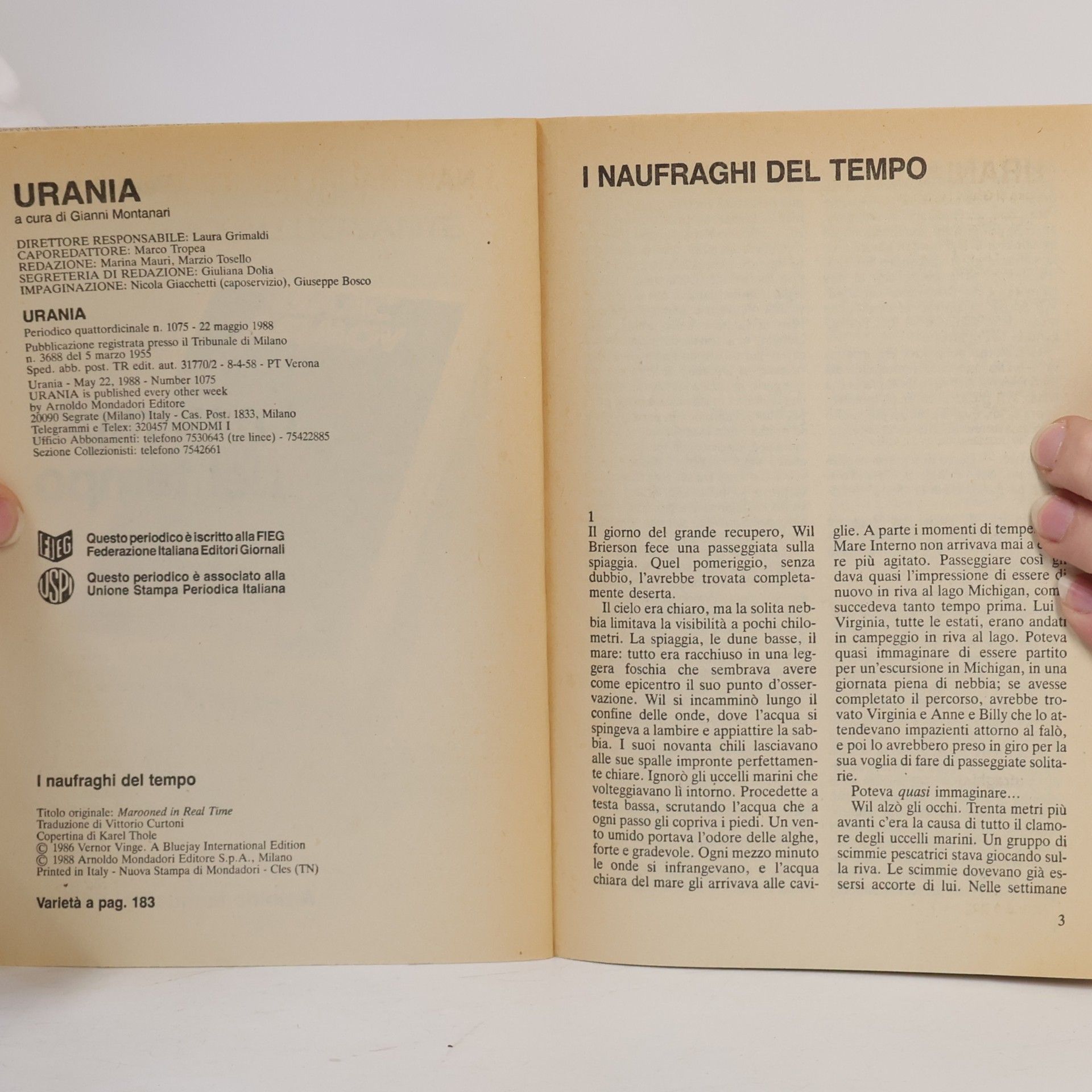 Vernor Vinge I naufraghi del Tempo