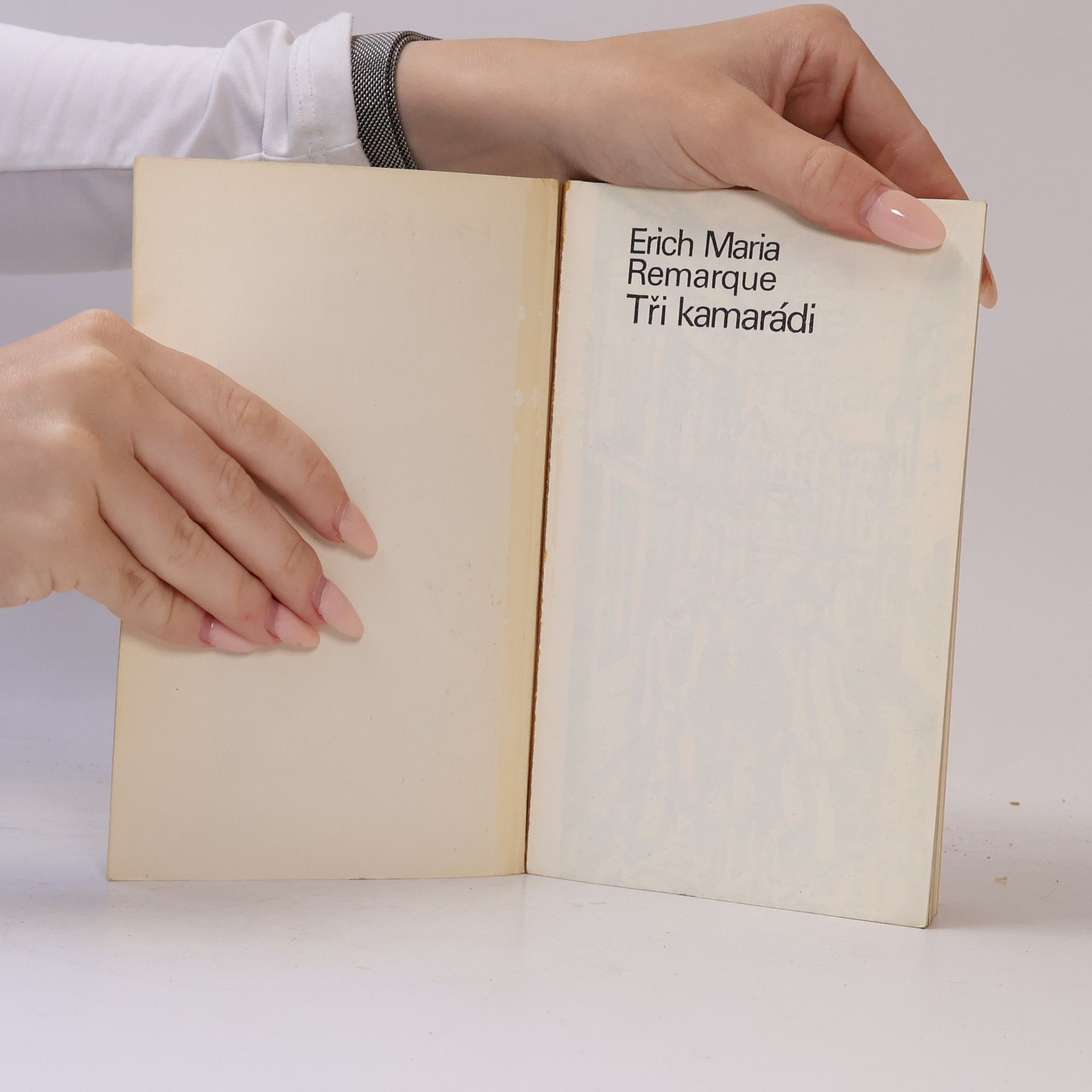 Erich Maria Remarque Tři kamarádi