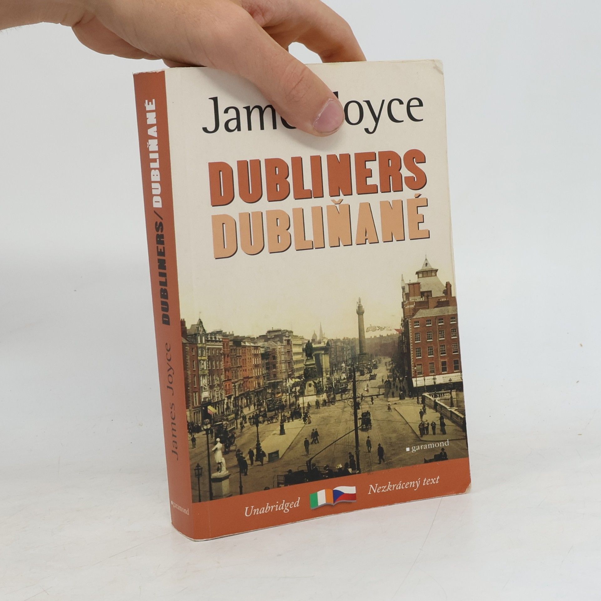 James Joyce Dubliners / Dubliňané