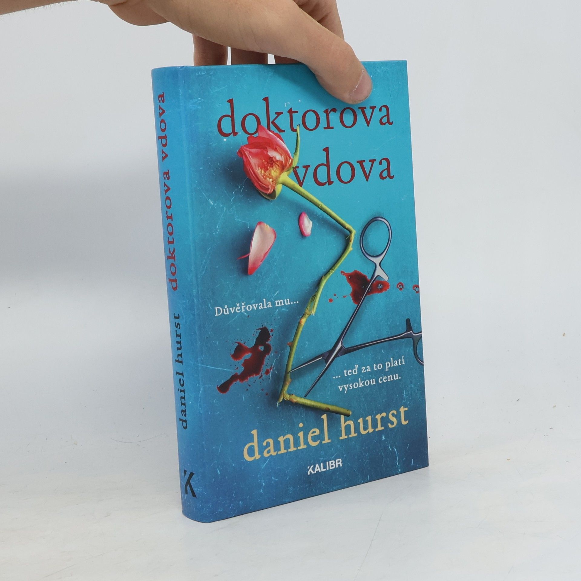 Daniel Hürst Doktorova vdova