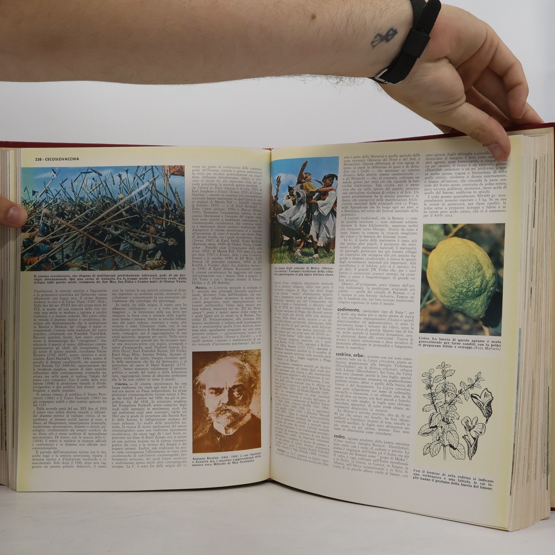 Autorenkollektiv Universo 3. Camp-Colo