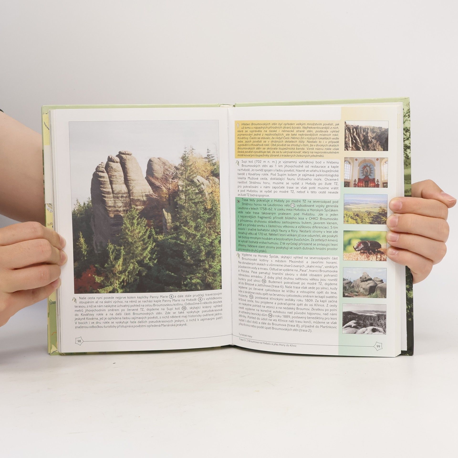 Autores varios Broumovsko. Interpretace kulturního a historického dědictví na Broumovsku