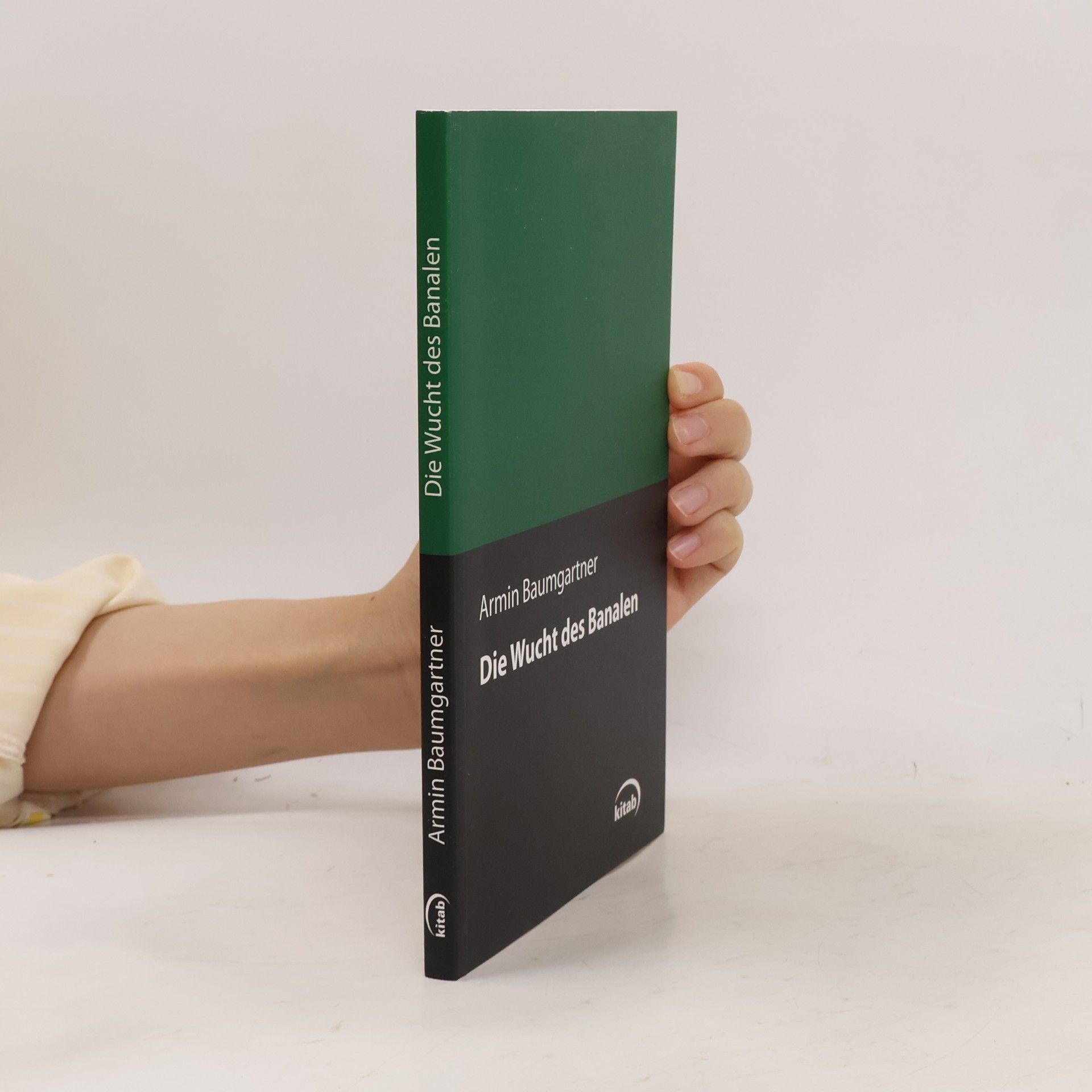 Armin Baumgartner Kitab Philosophie: Die Wucht des Banalen