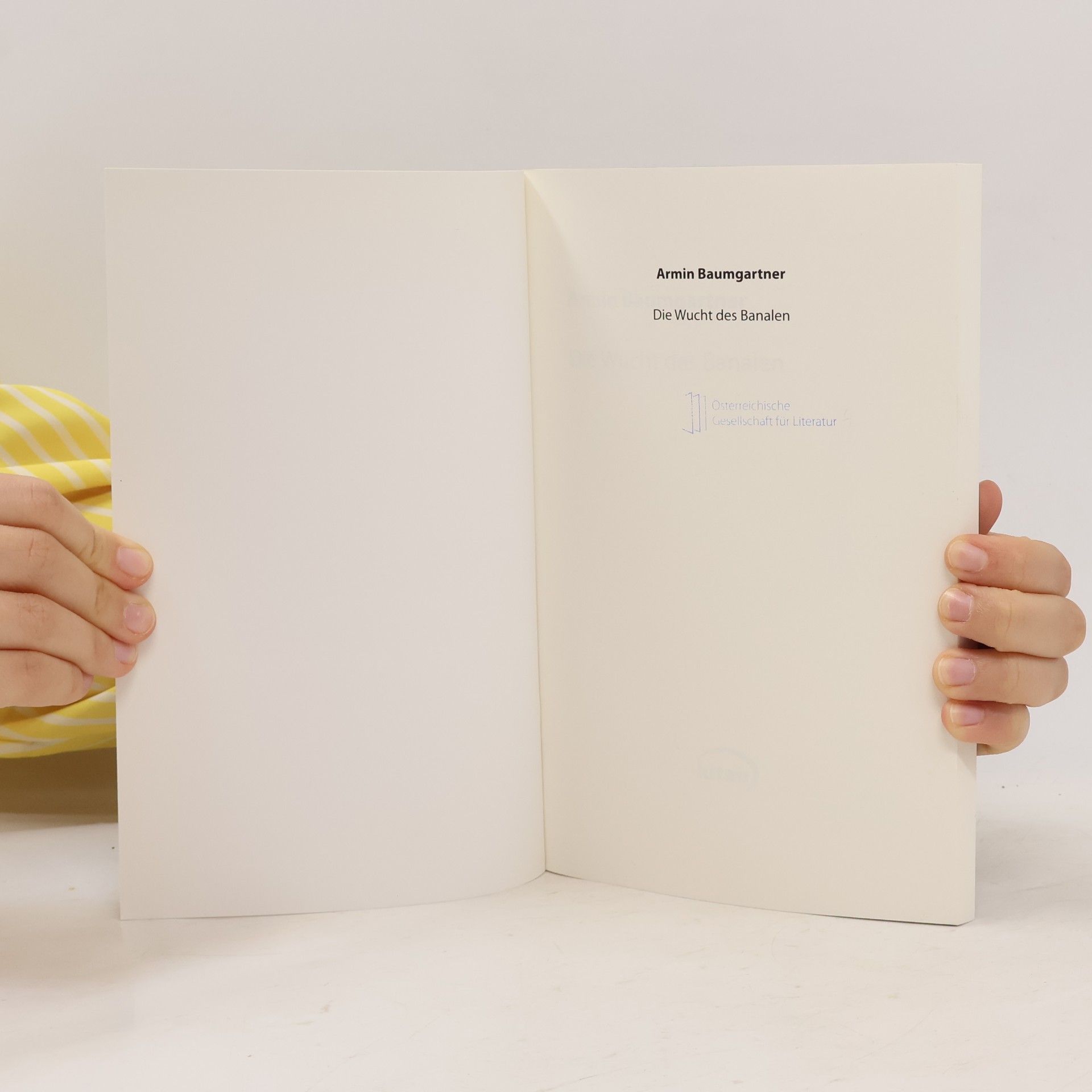 Armin Baumgartner Kitab Philosophie: Die Wucht des Banalen