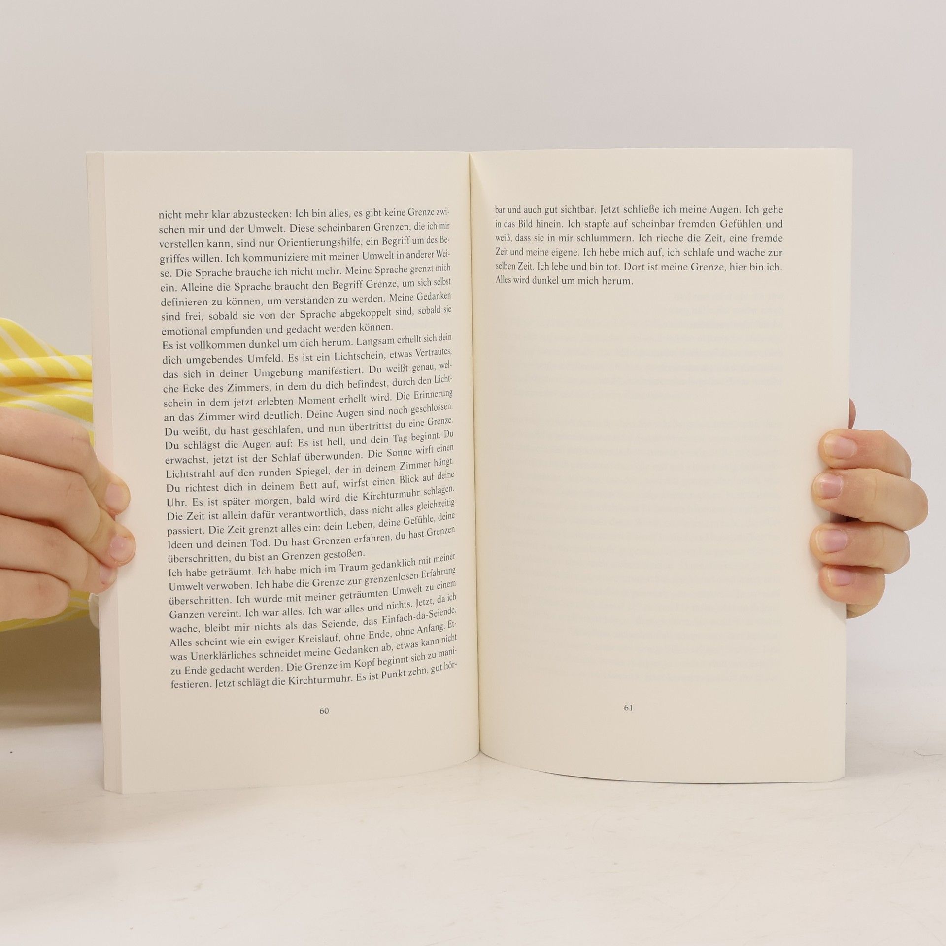 Armin Baumgartner Kitab Philosophie: Die Wucht des Banalen