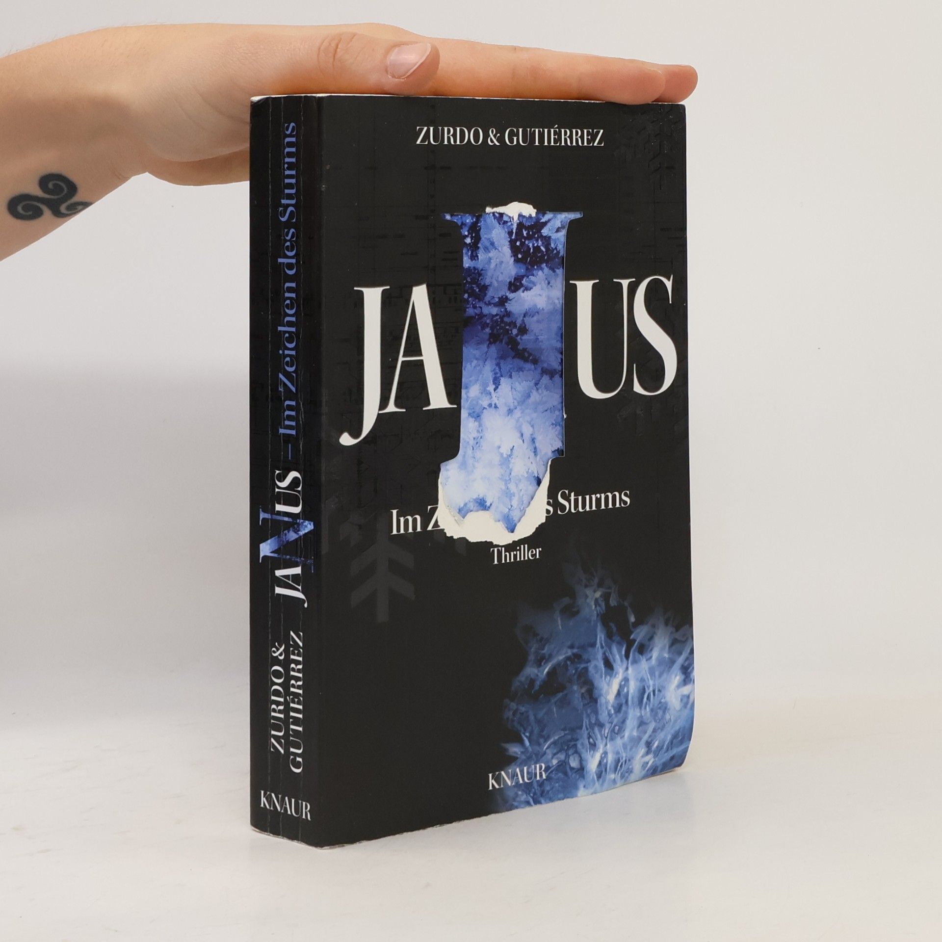 Ángel Gutiérrez Janus. Im Zeichen des Sturms