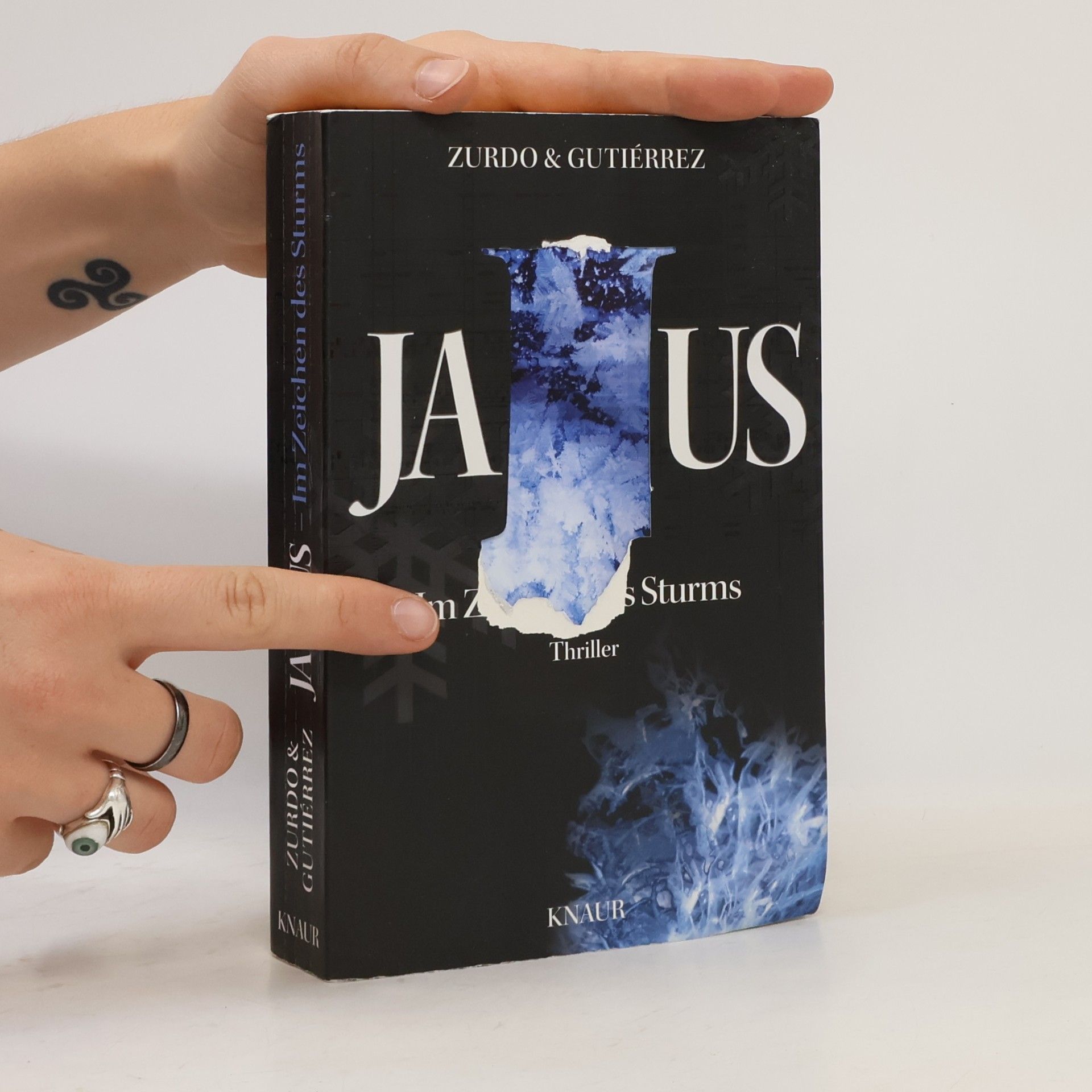 David Zurdo Saiz Janus. Im Zeichen des Sturms