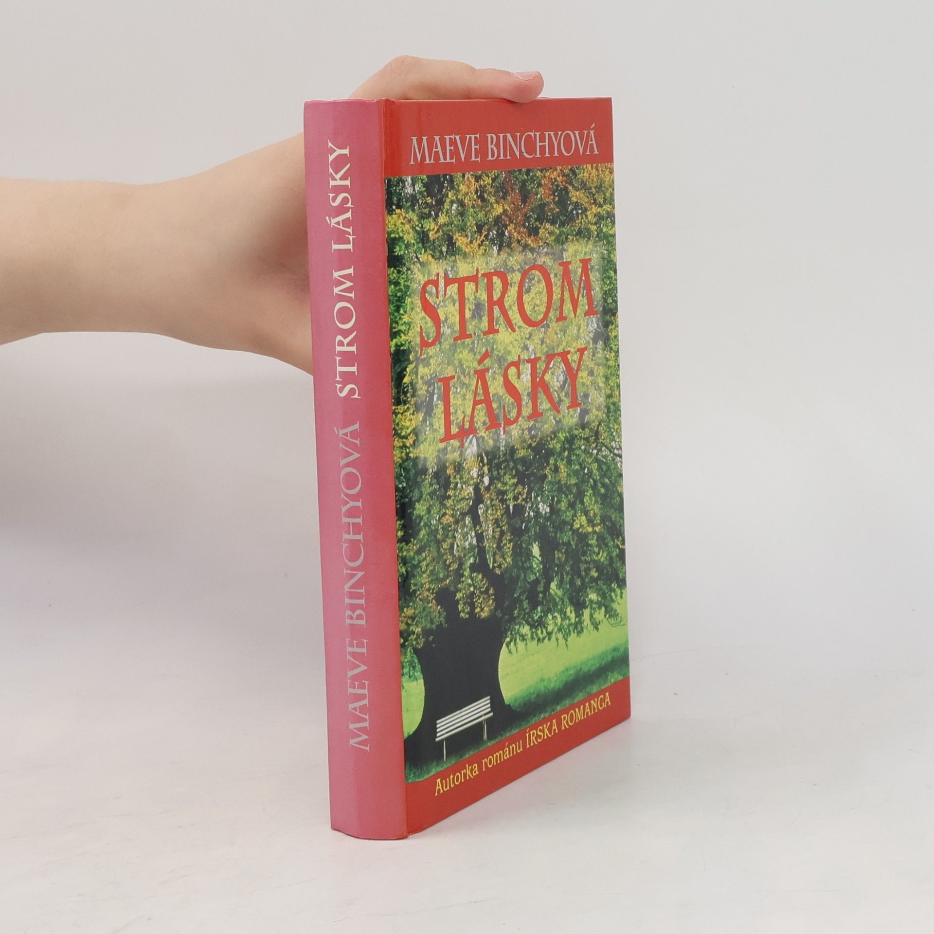 Maeve Binchy Strom lásky