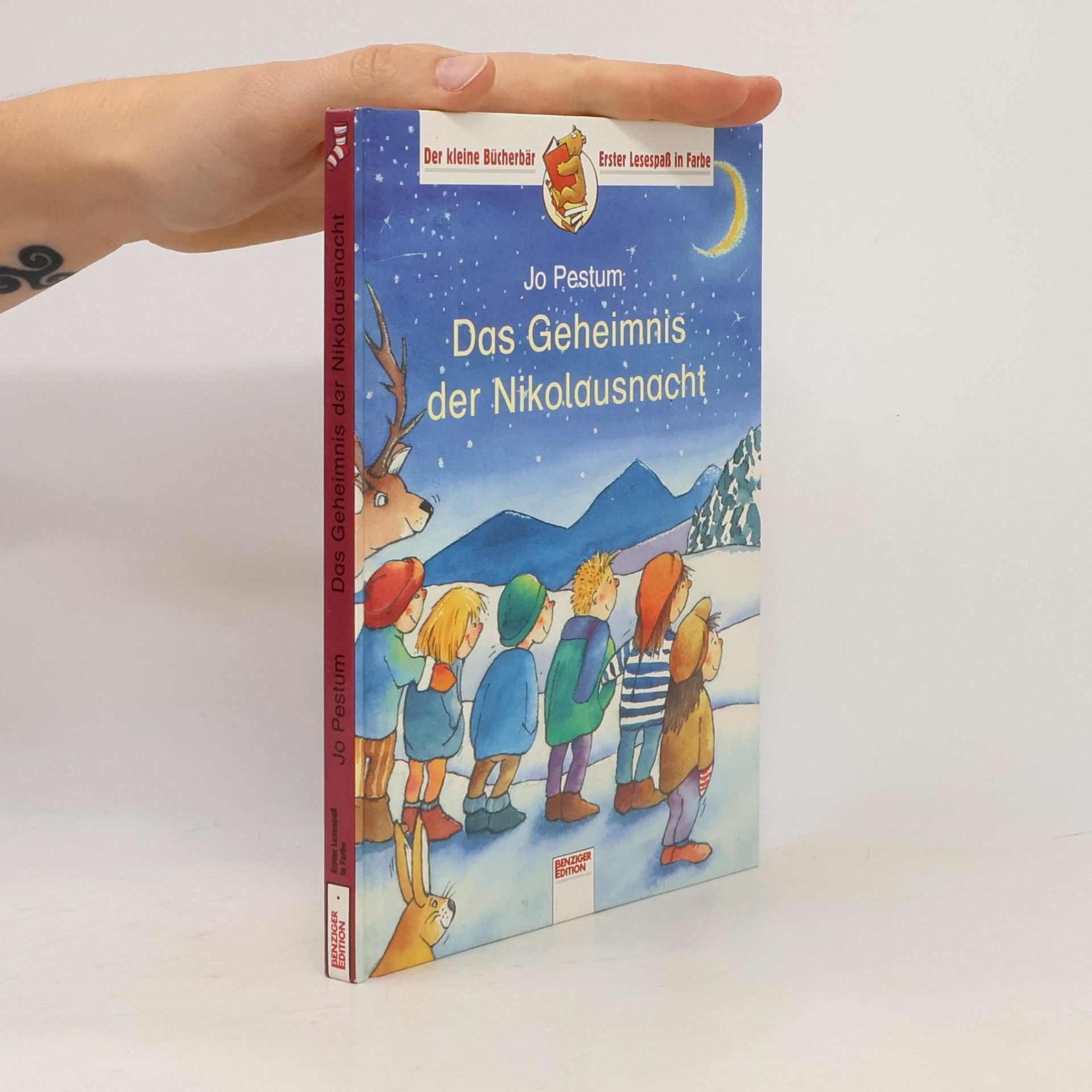 Jo Pestum Das Geheimnis der Nikolausnacht