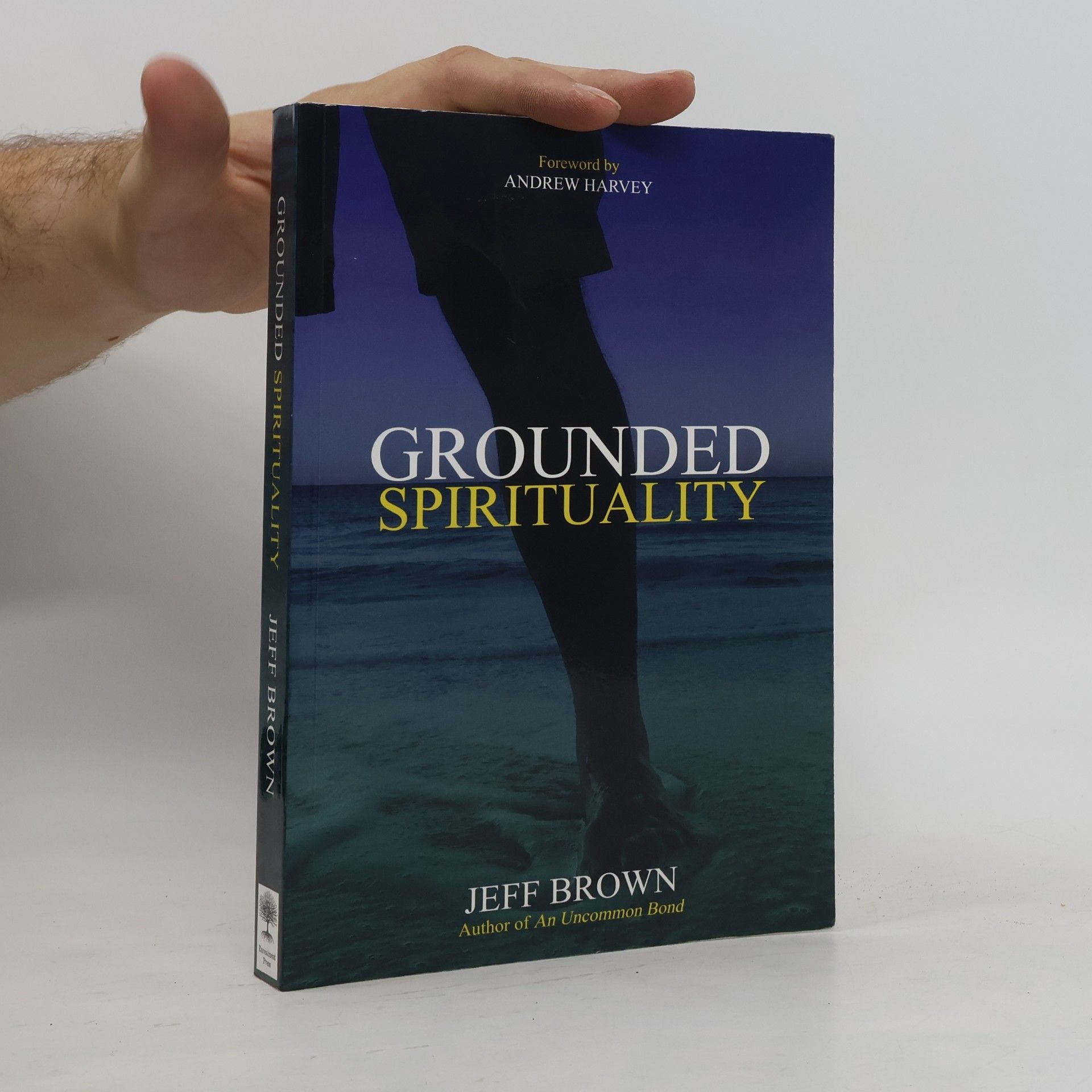 Jeff Brown Grounded Spirituality