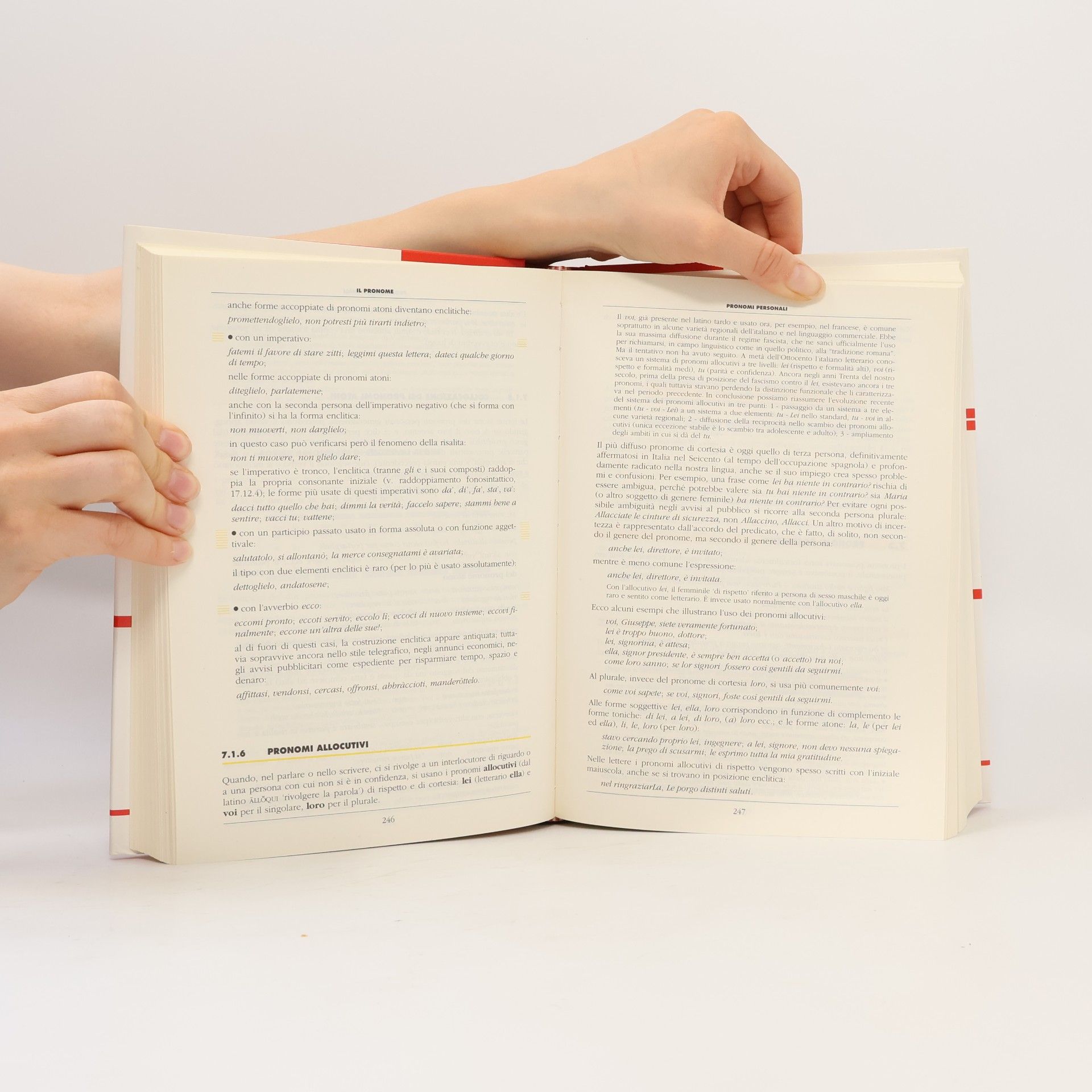 Maurizio Dardano La nuova grammatica della lingua italiana