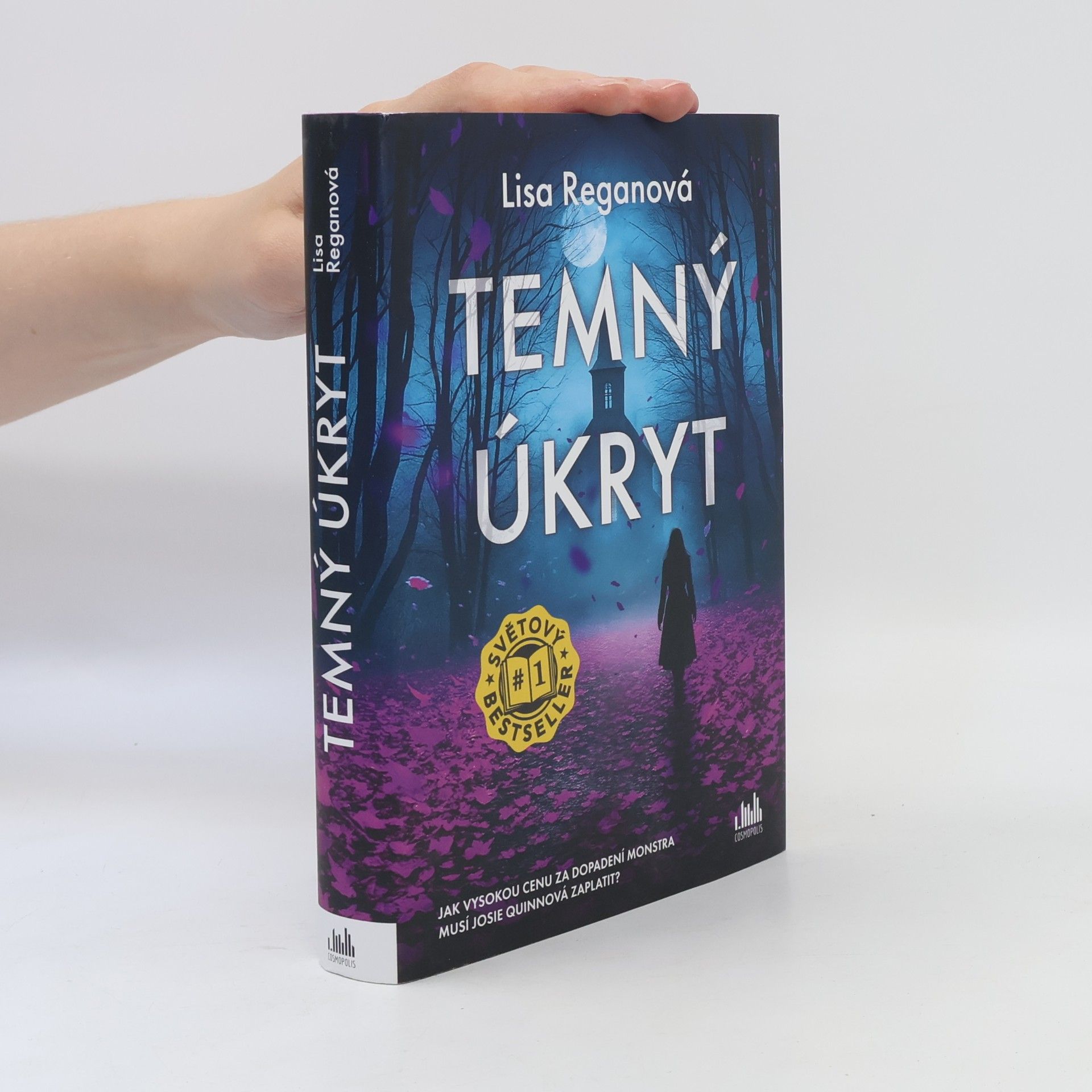 Lisa Regan Temný úkryt