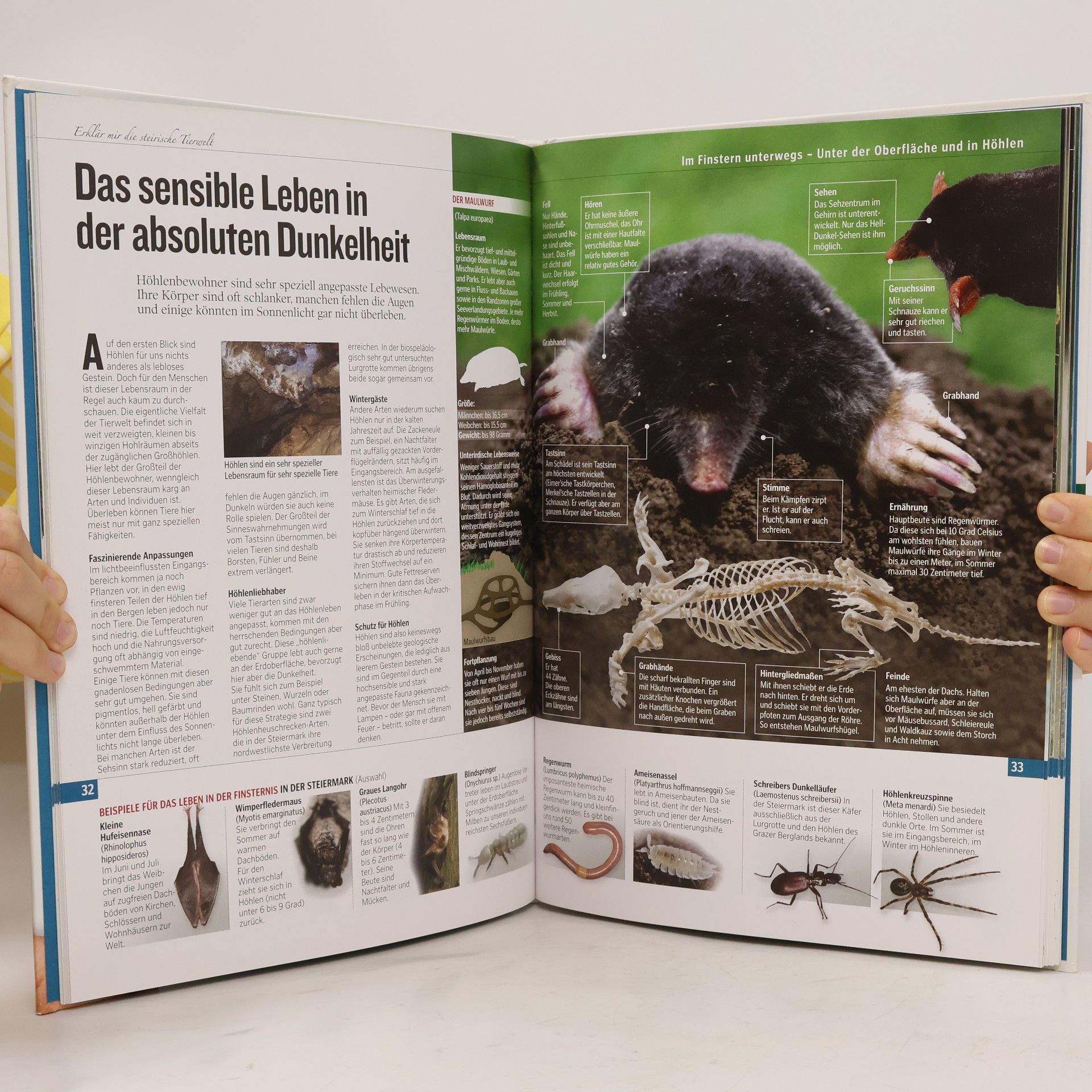 Günter Pichler Erklär mir die steirische Tierwelt