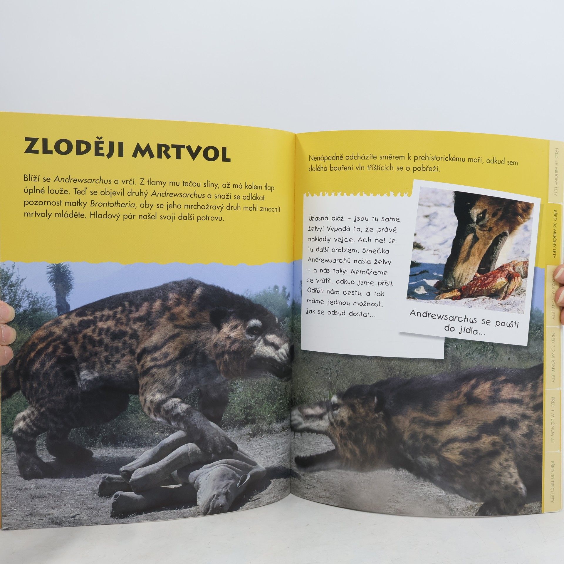 Stephen Cole Boj o přežití - Putování s pravěkými zvířaty