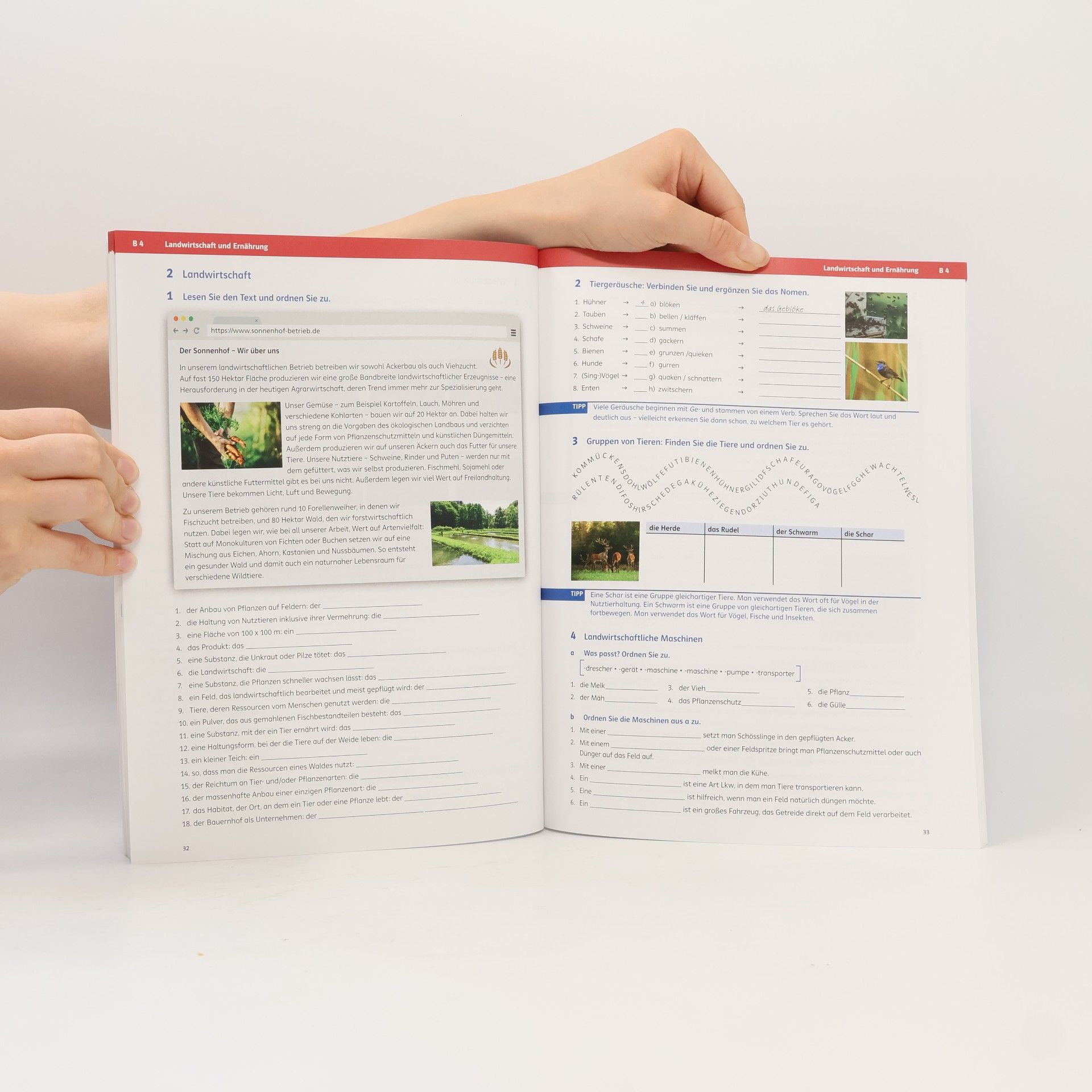 Arwen Dammann Deutsch intensiv Wortschatz C1. Das Training. Buch