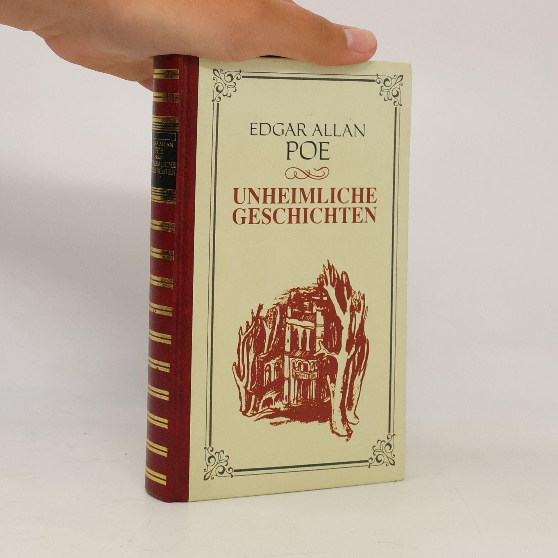 Edgar Allan Poe Unheimliche Geschichten